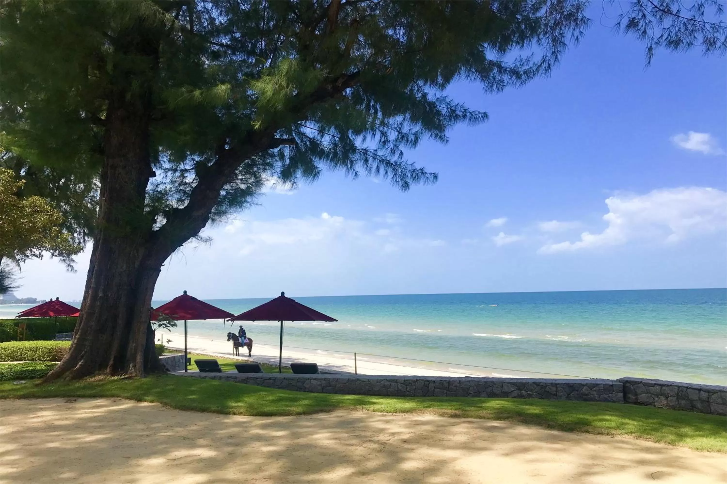 Horse-riding, Beach in Soi 7 Hua Hin-Ji Ya