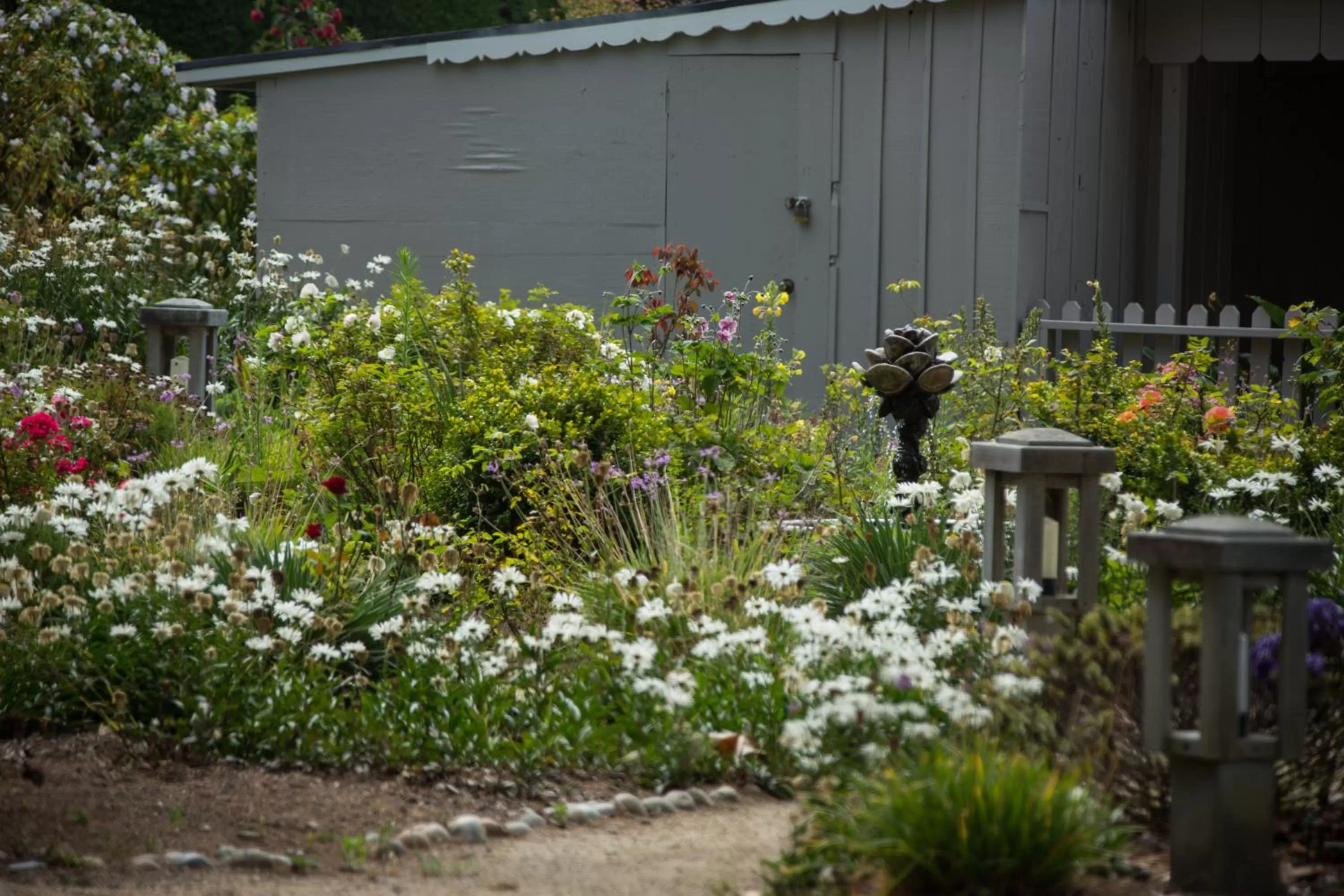Garden in Carmel River Inn & Cottages