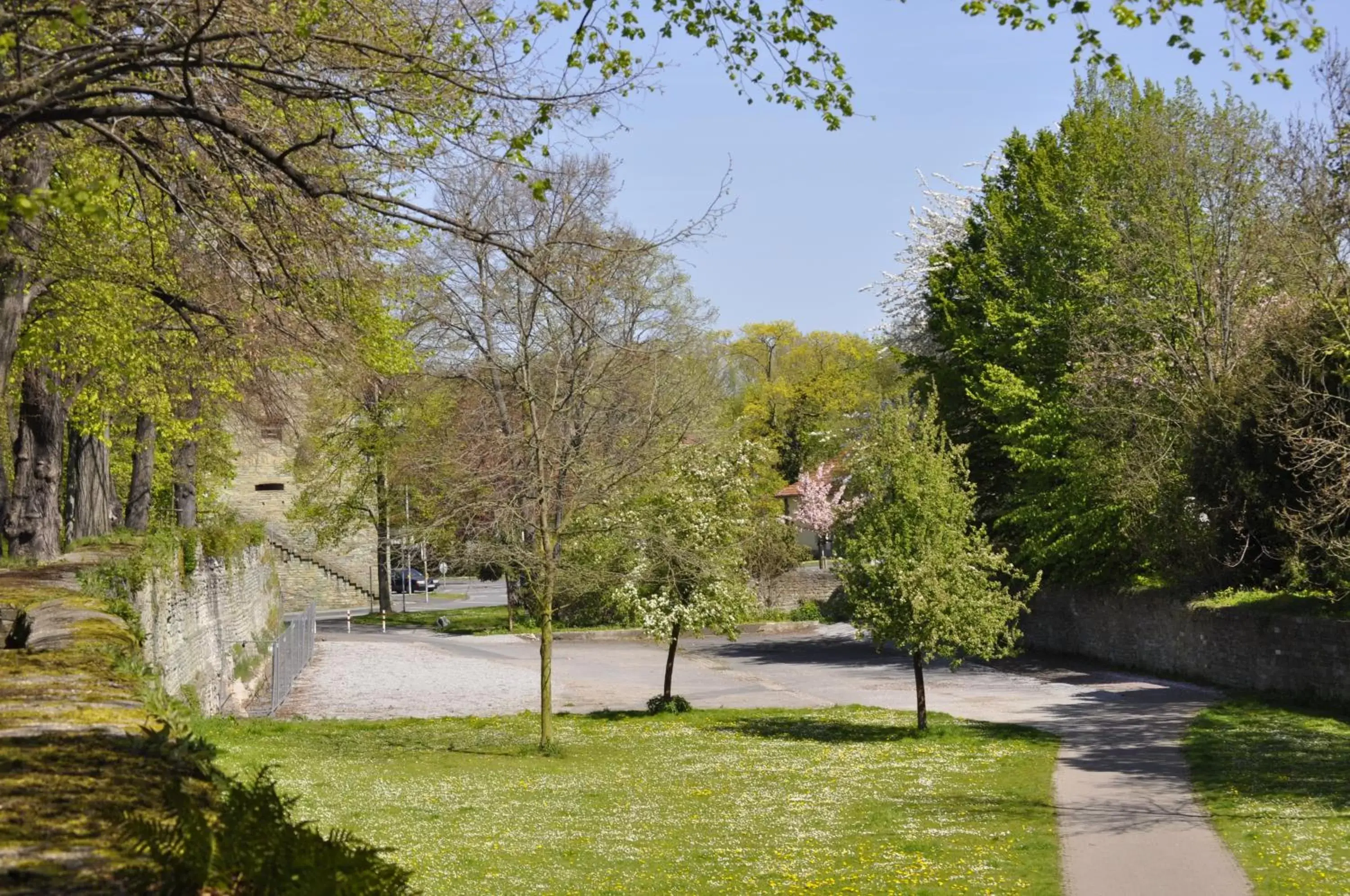 Garden view, Swimming Pool in Hotel am Wall