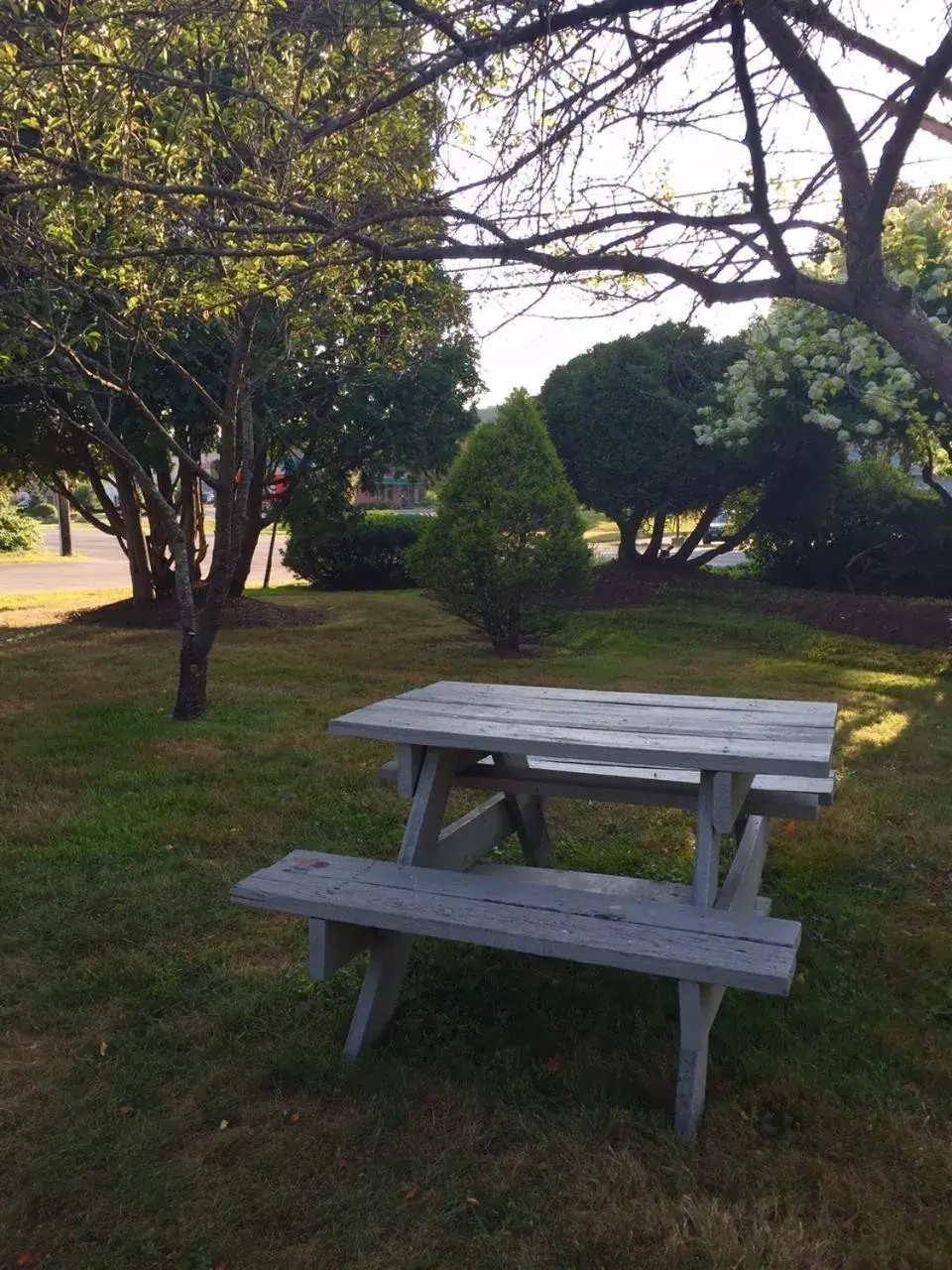 Garden in The Black Mountain Inn