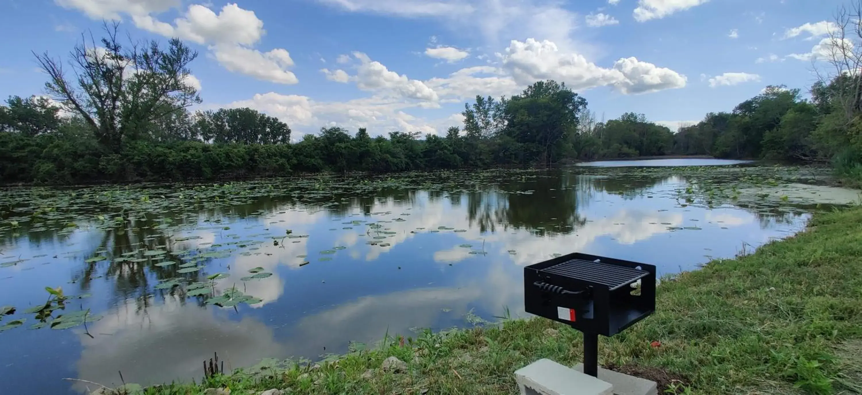 Natural landscape, Lake View in Cedar Cove