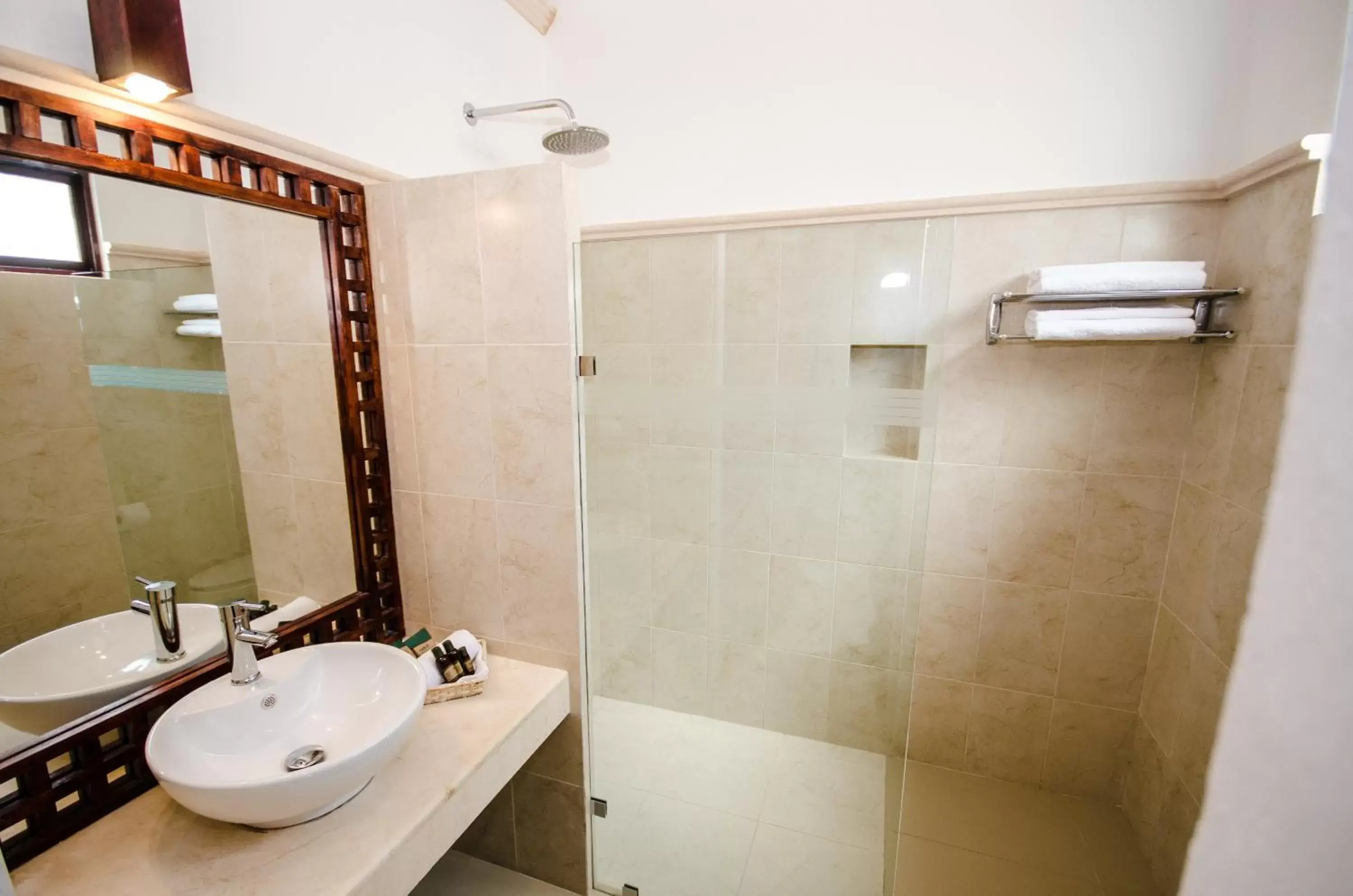 Shower, Bathroom in Casa San Roque Valladolid
