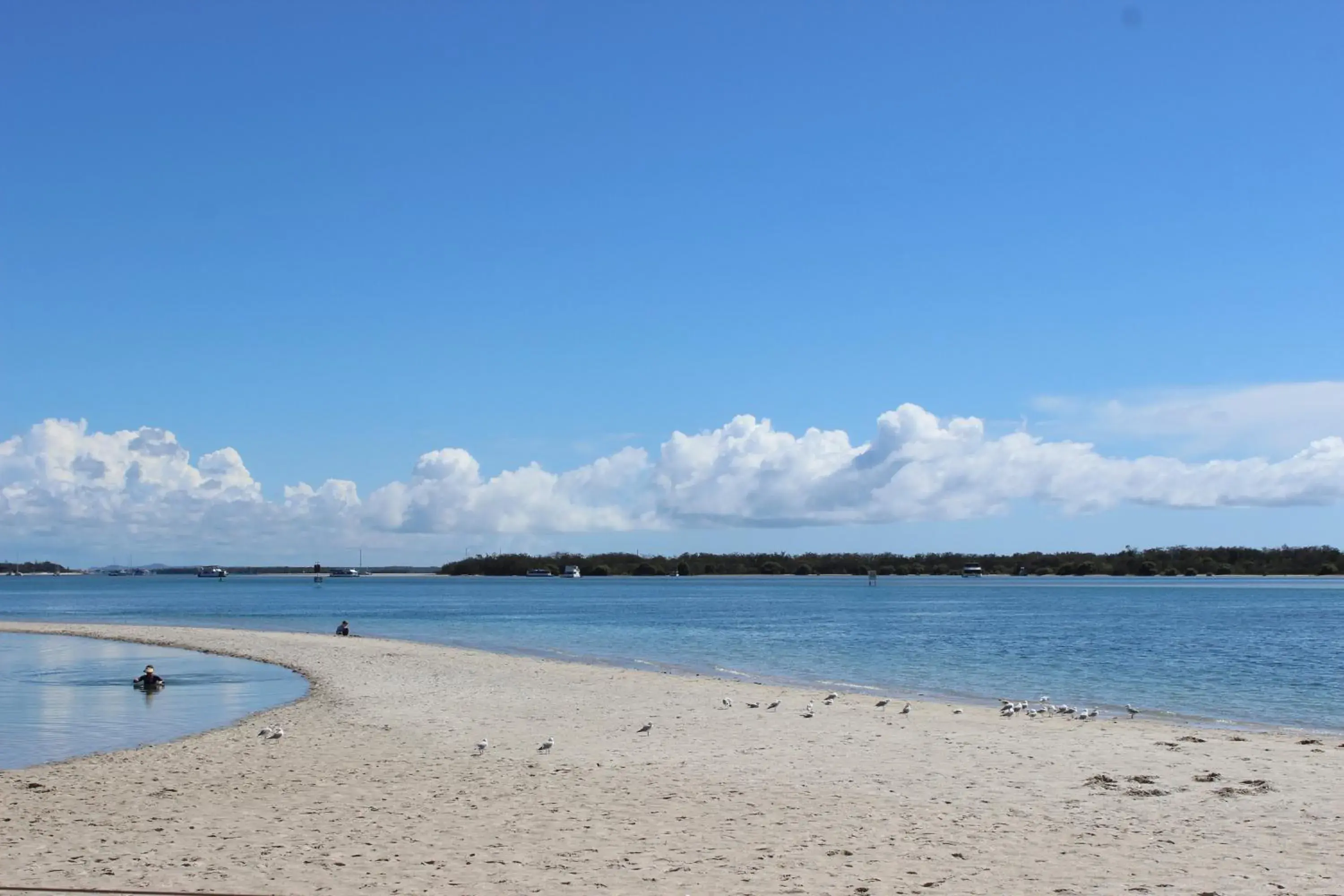 Property building, Beach in Palmerston Tower