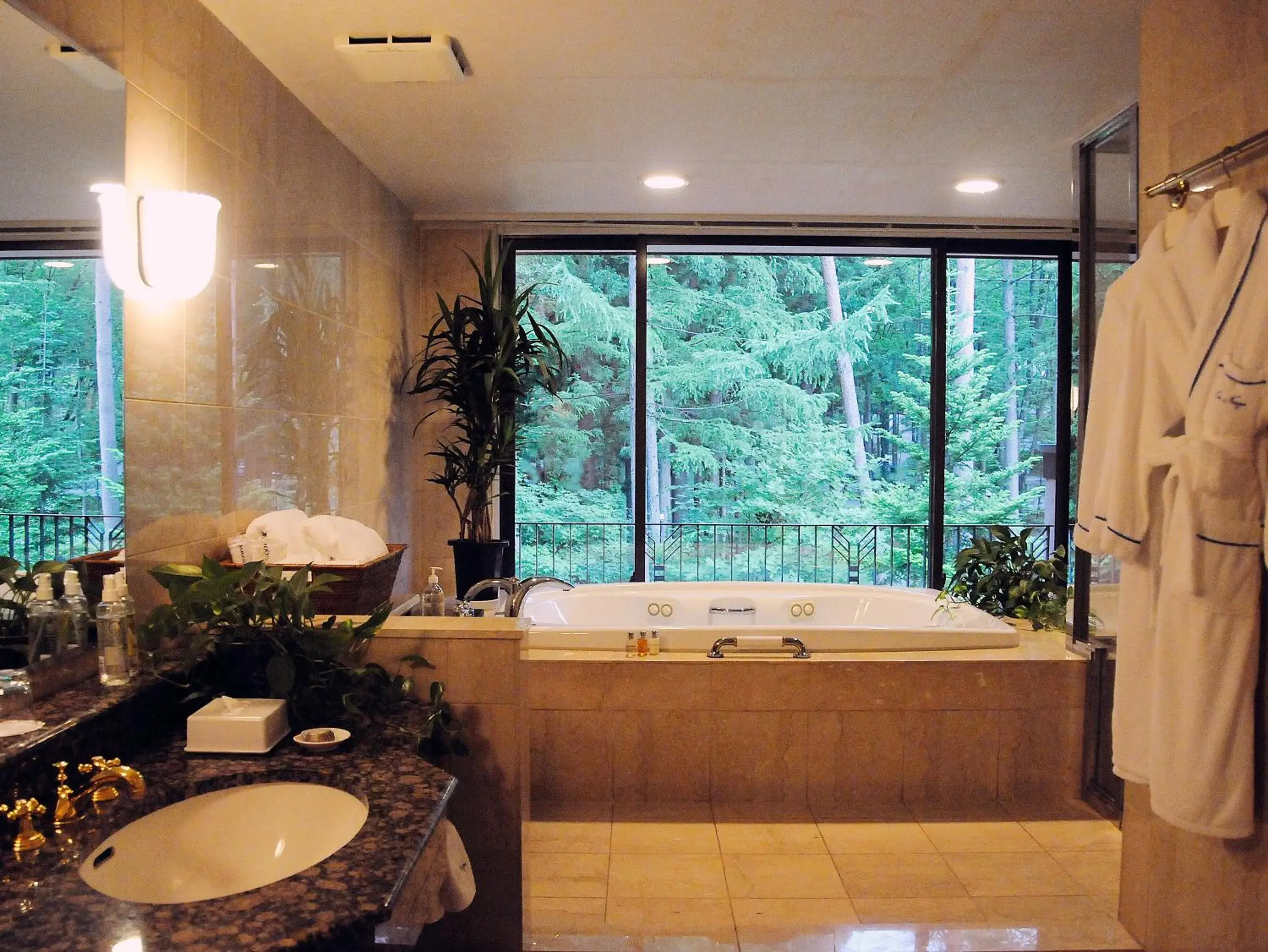 Bathroom in Hakuba Resort Hotel La Neige Higashikan