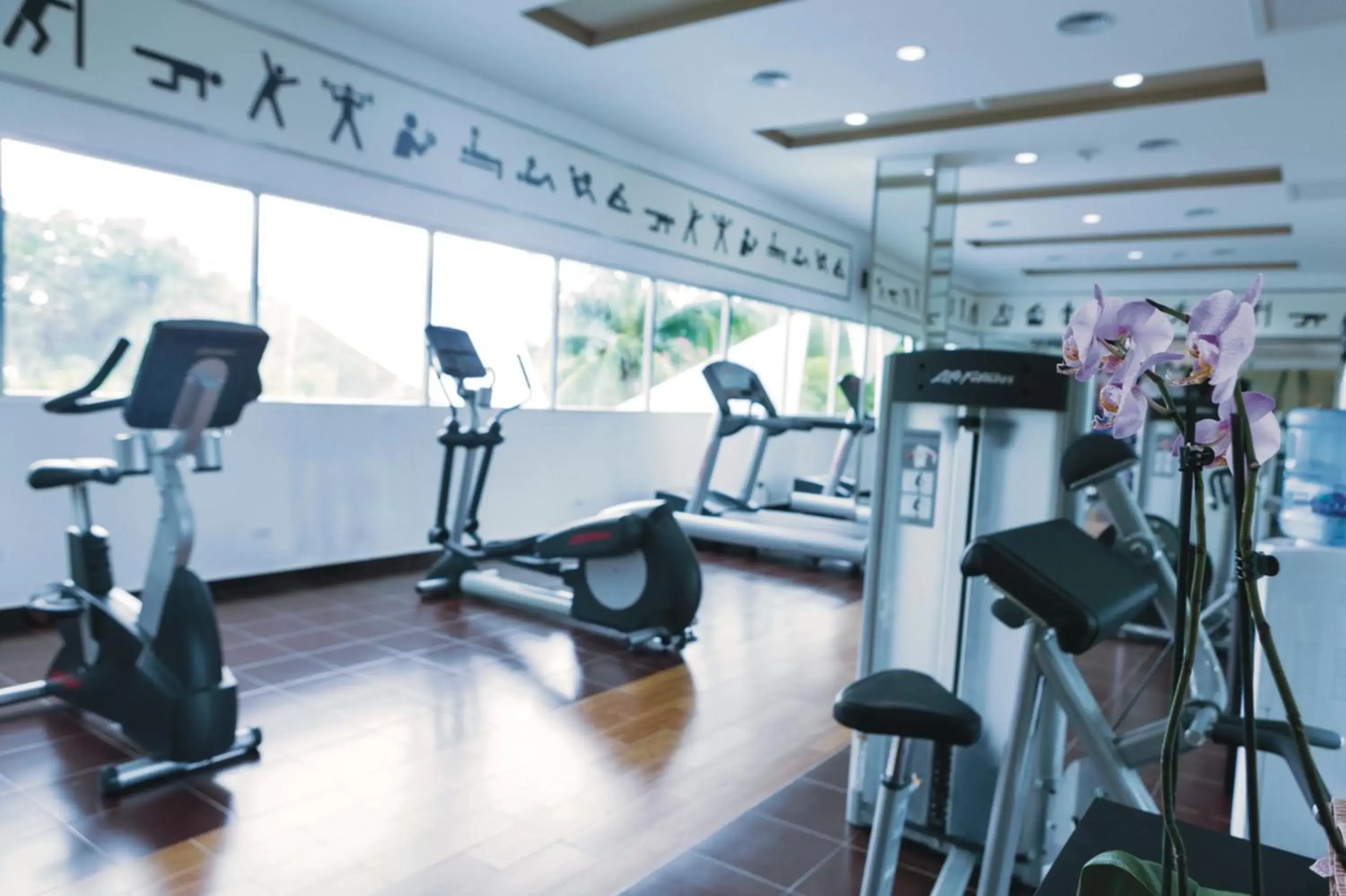 Fitness centre/facilities in Riu Playacar - All Inclusive Fitness centre/facilities in Riu Playacar - All Inclusive