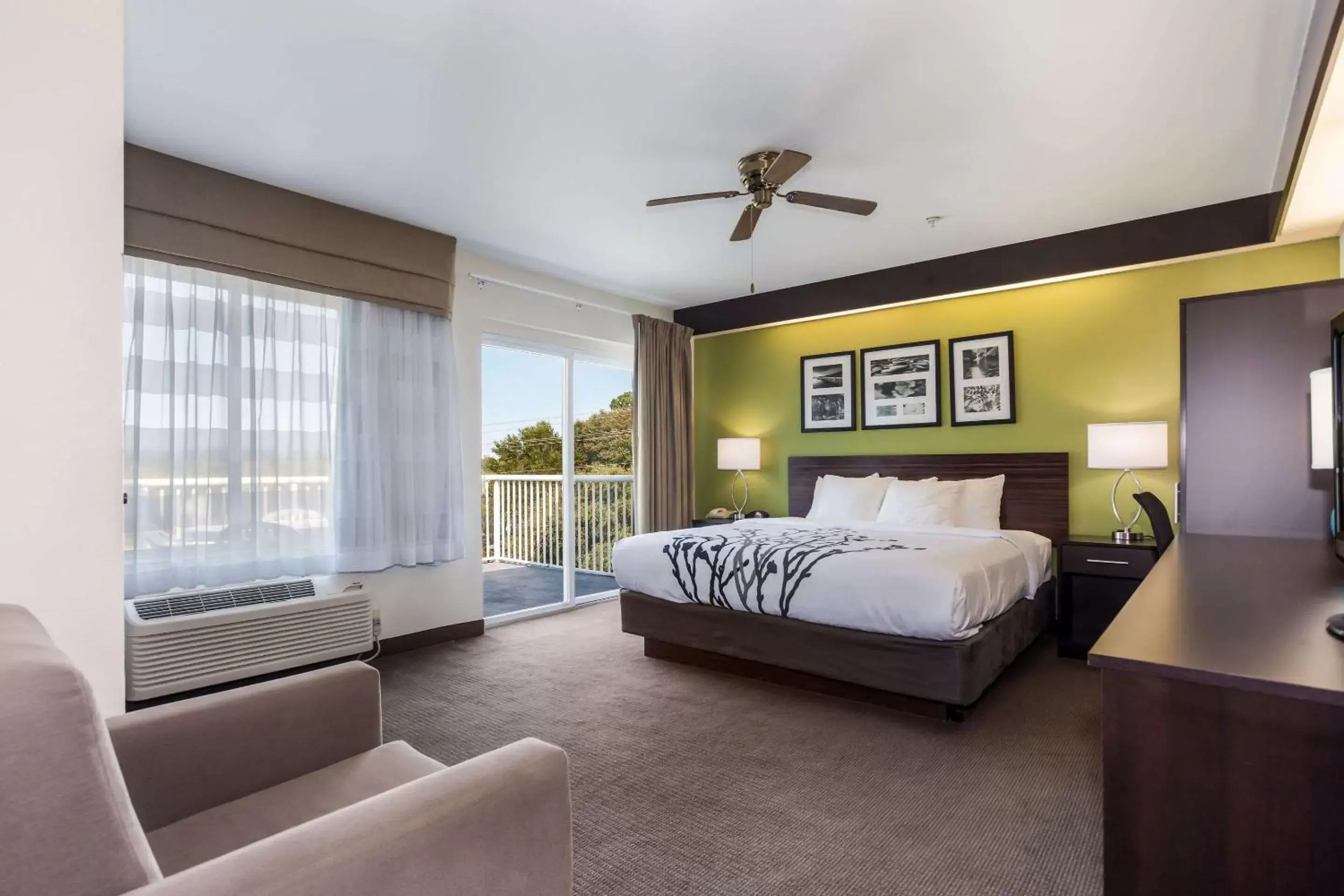 Photo of the whole room, Bed in Sleep Inn Little River - North Myrtle Beach Photo of the whole room, Bed in Sleep Inn Little River - North Myrtle Beach