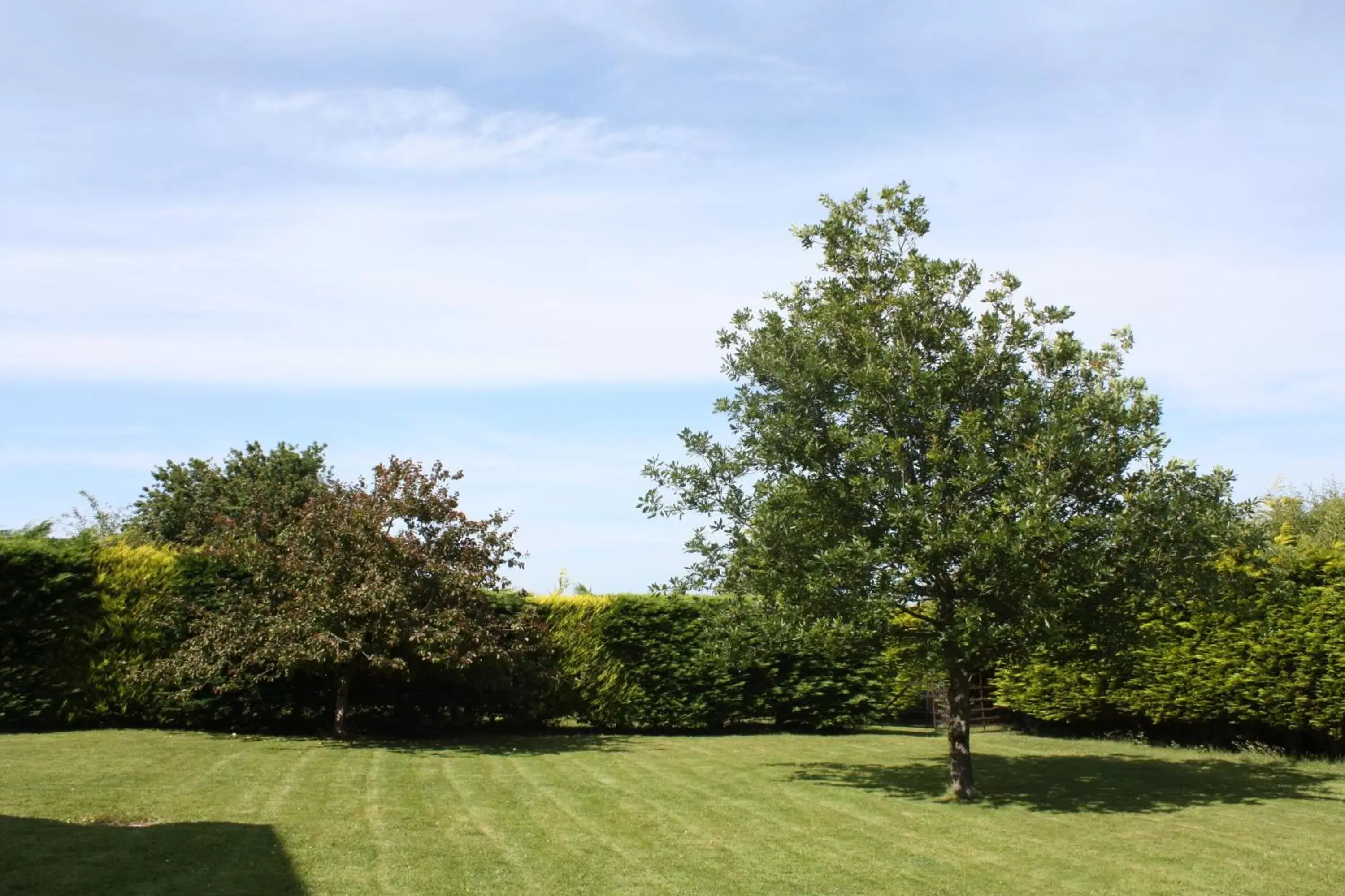 Garden in Rhu Glenn Hotel