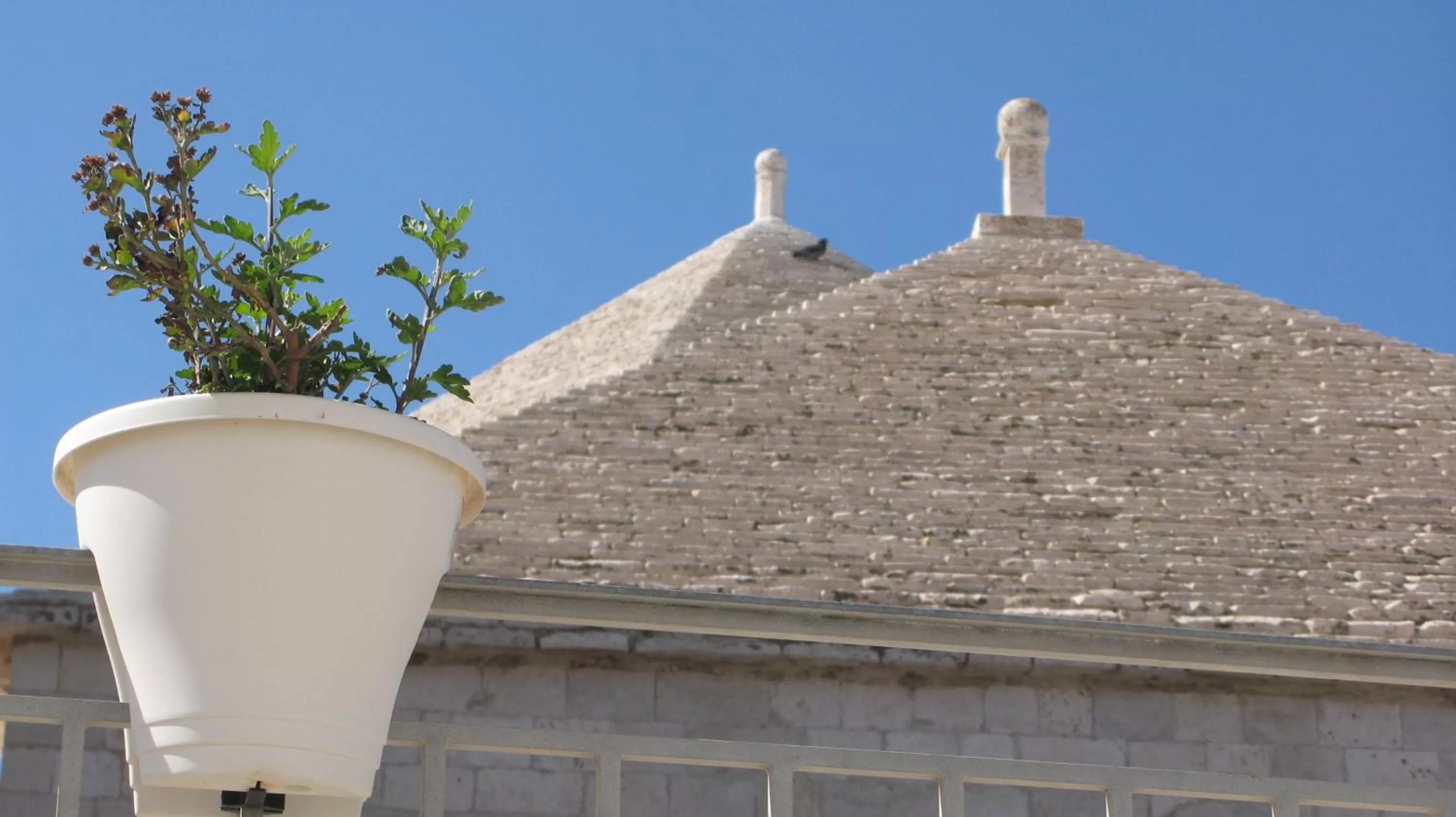 Balcony/Terrace in Il Mulino di Amleto - Bed and Breakfast letterario