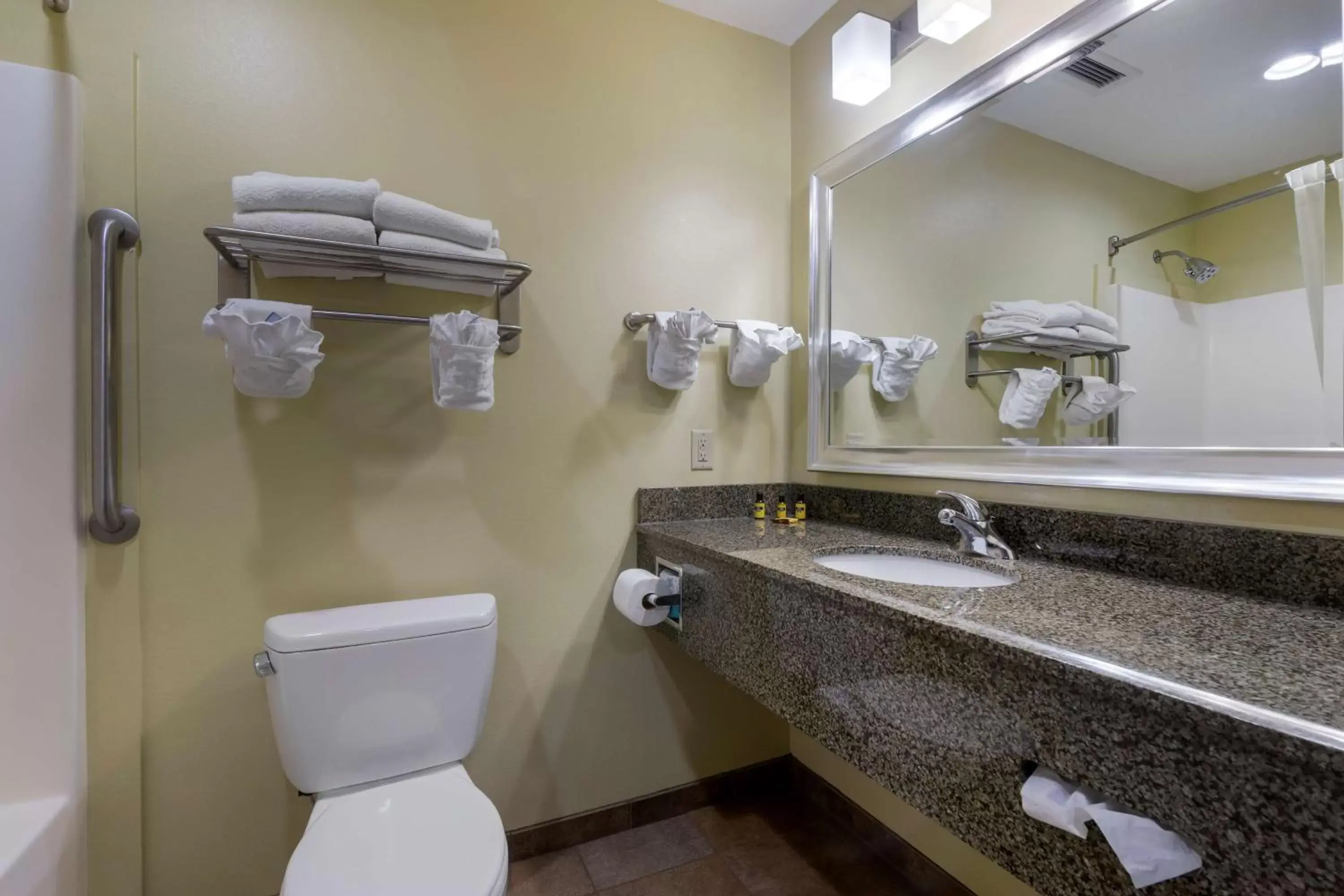 Bathroom in Best Western Plus Brunswick Inn & Suites