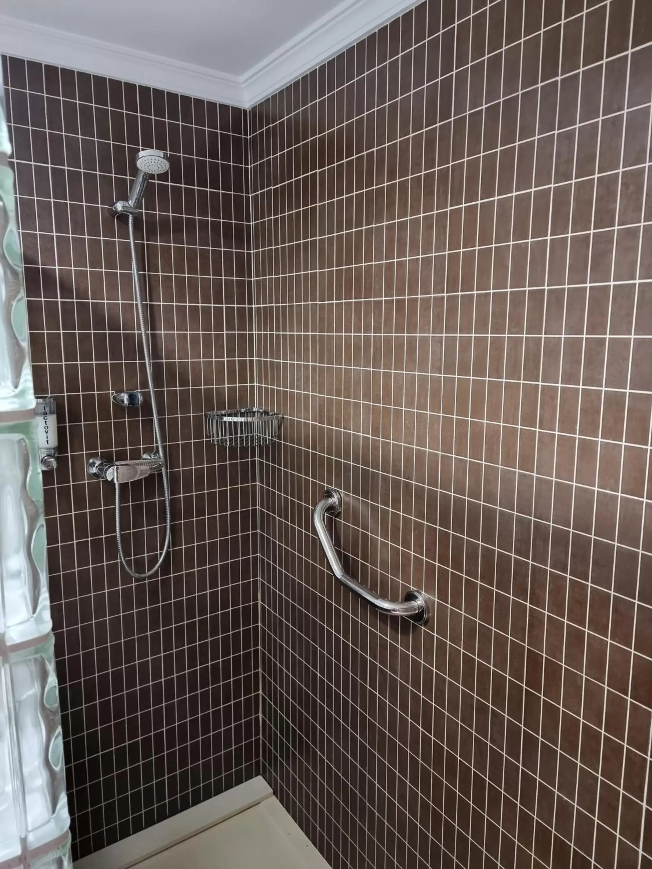 Shower, Bathroom in Hotel El Tajo & SPA