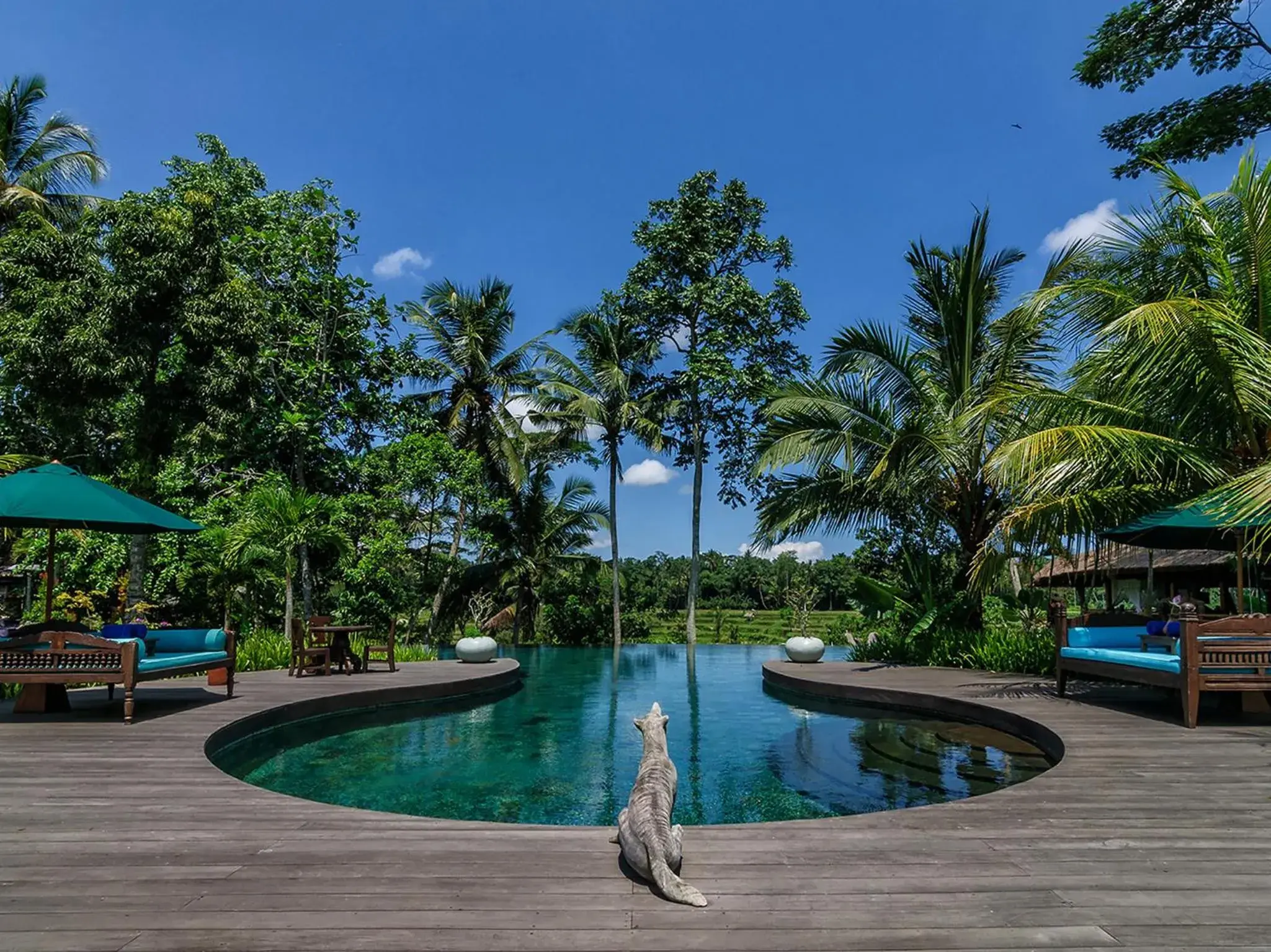 Natural landscape, Swimming Pool in PERMATA AYUNG PRIVATE ESTATE