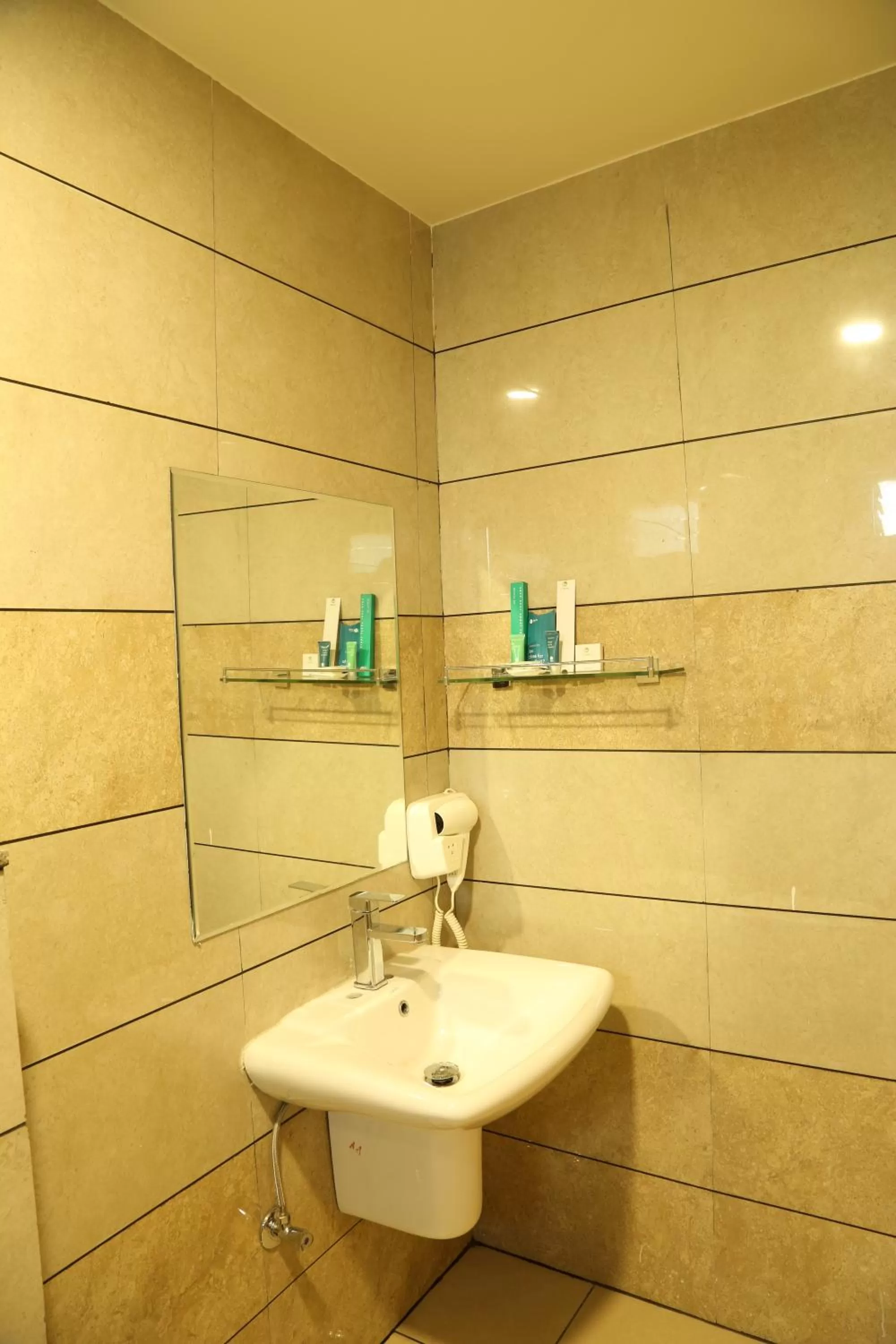 Shower in Hotel Reva Regency