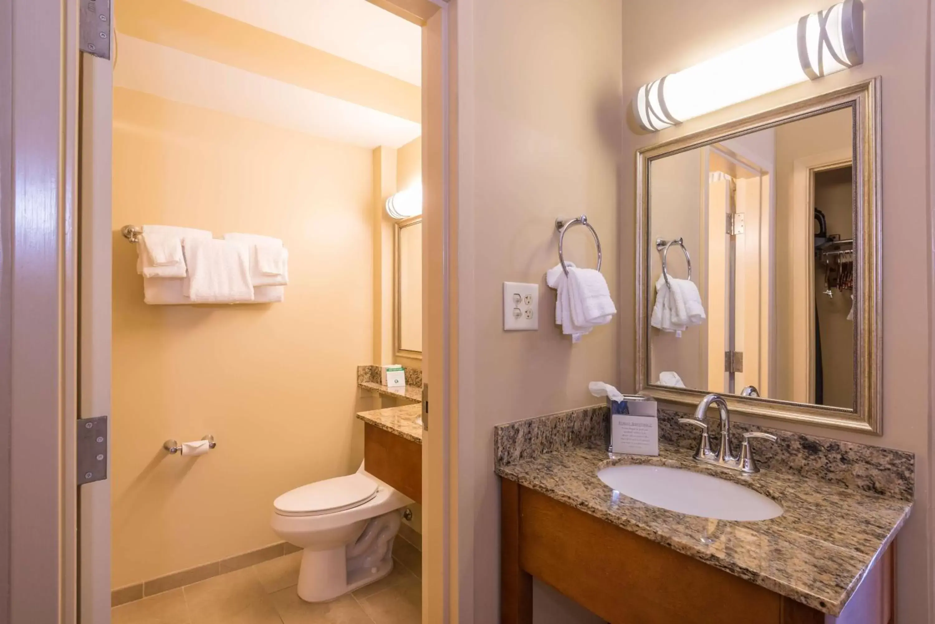 Bathroom in Best Western Charleston Inn