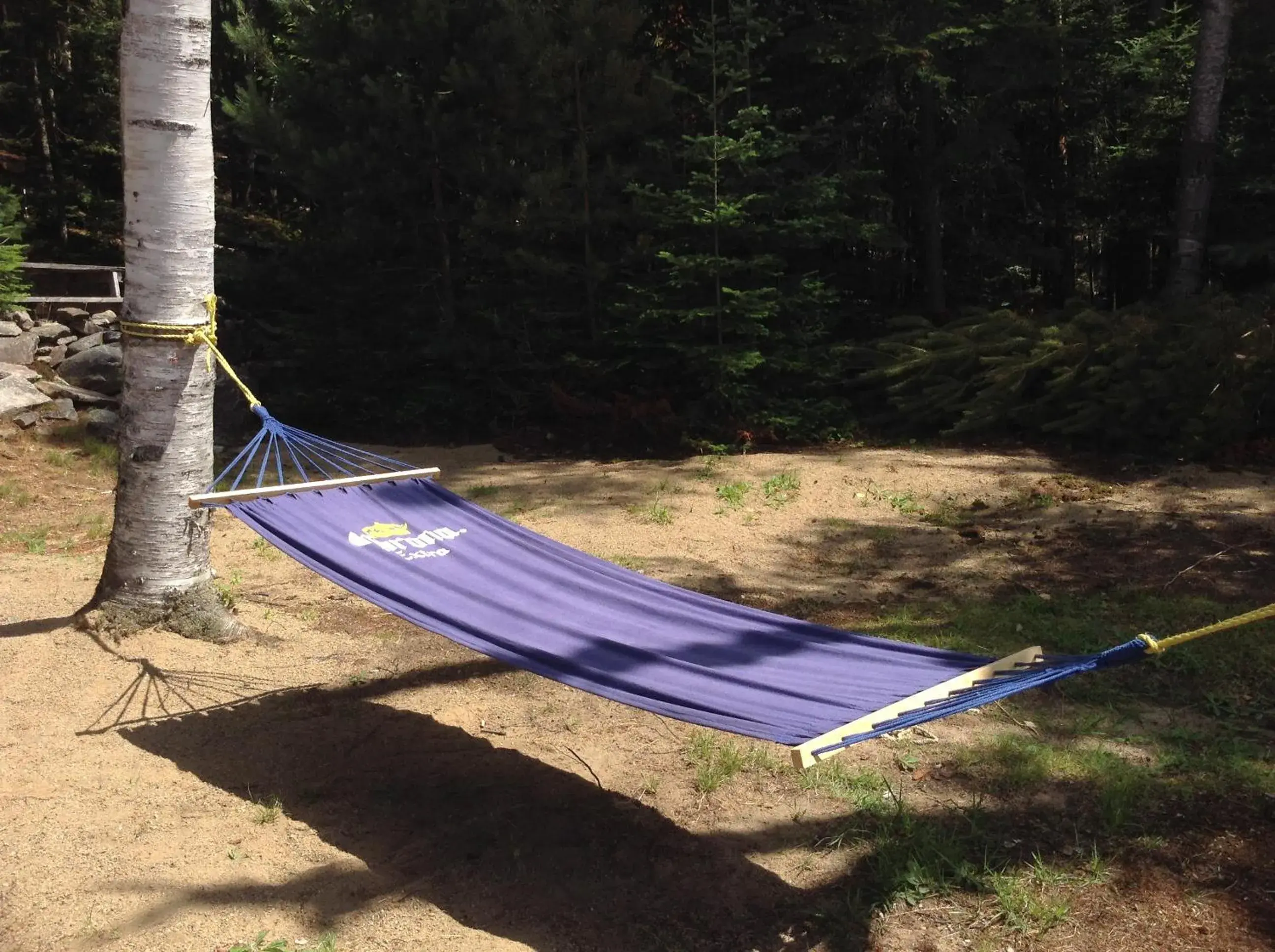 Beach in Algonquin Lakeside Inn