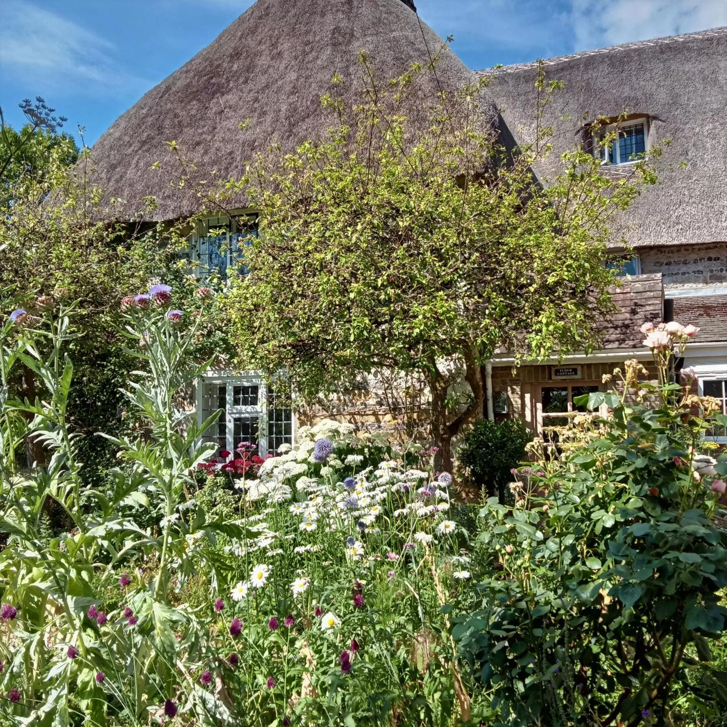 Property Building in Tudor Cottage B&B Frampton