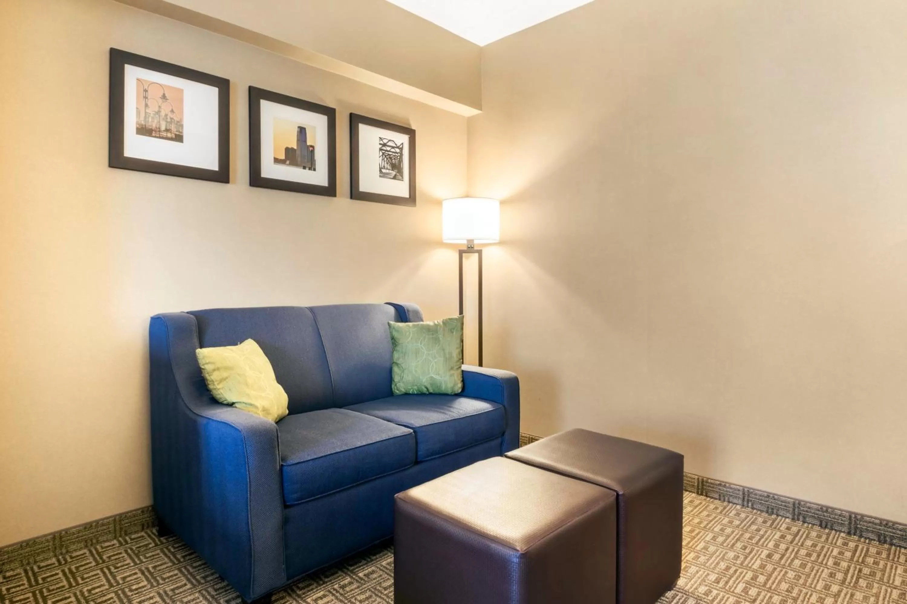 Living room in Comfort Suites at Woodbridge