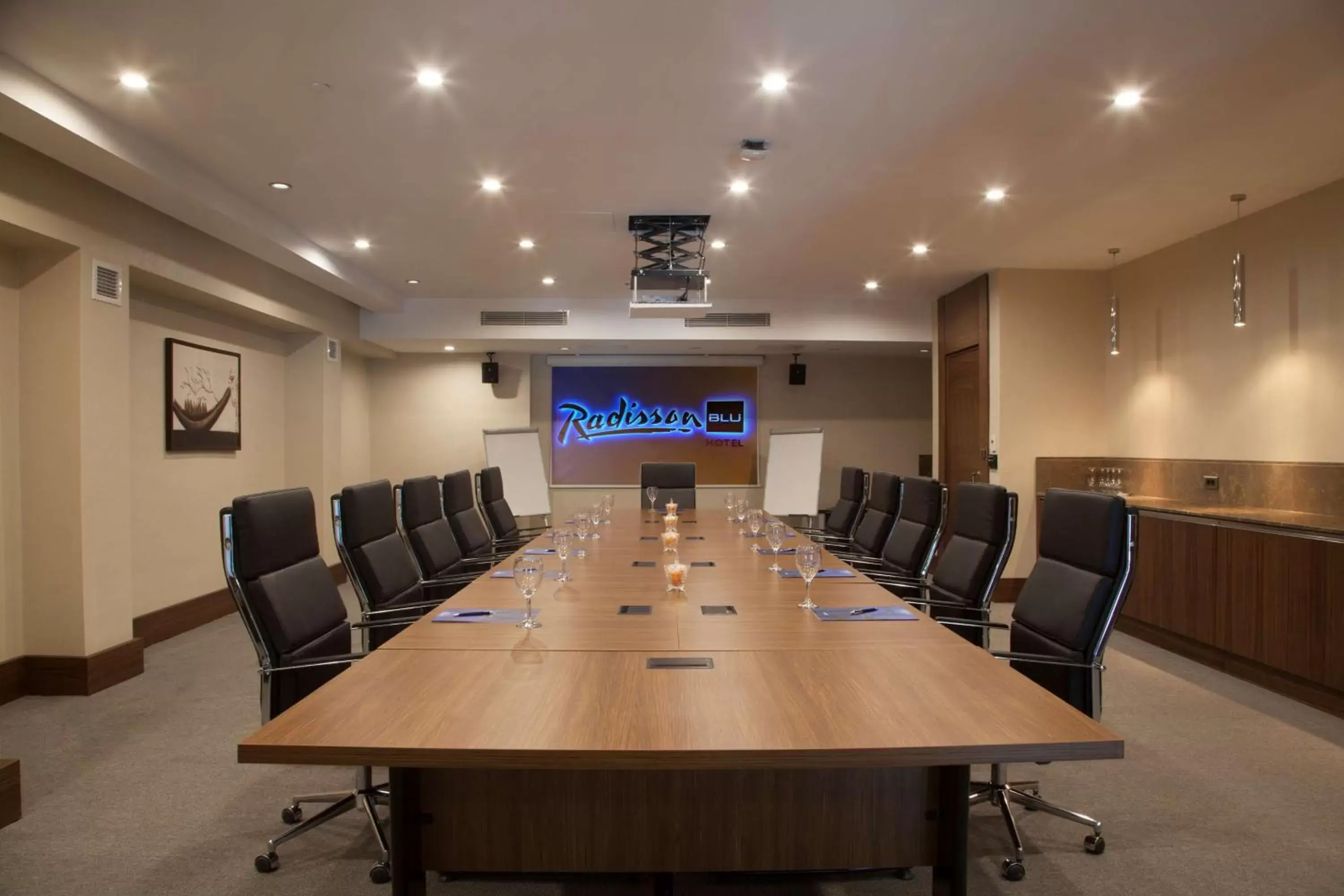 Business facilities in Radisson Blu Hotel, Diyarbakir