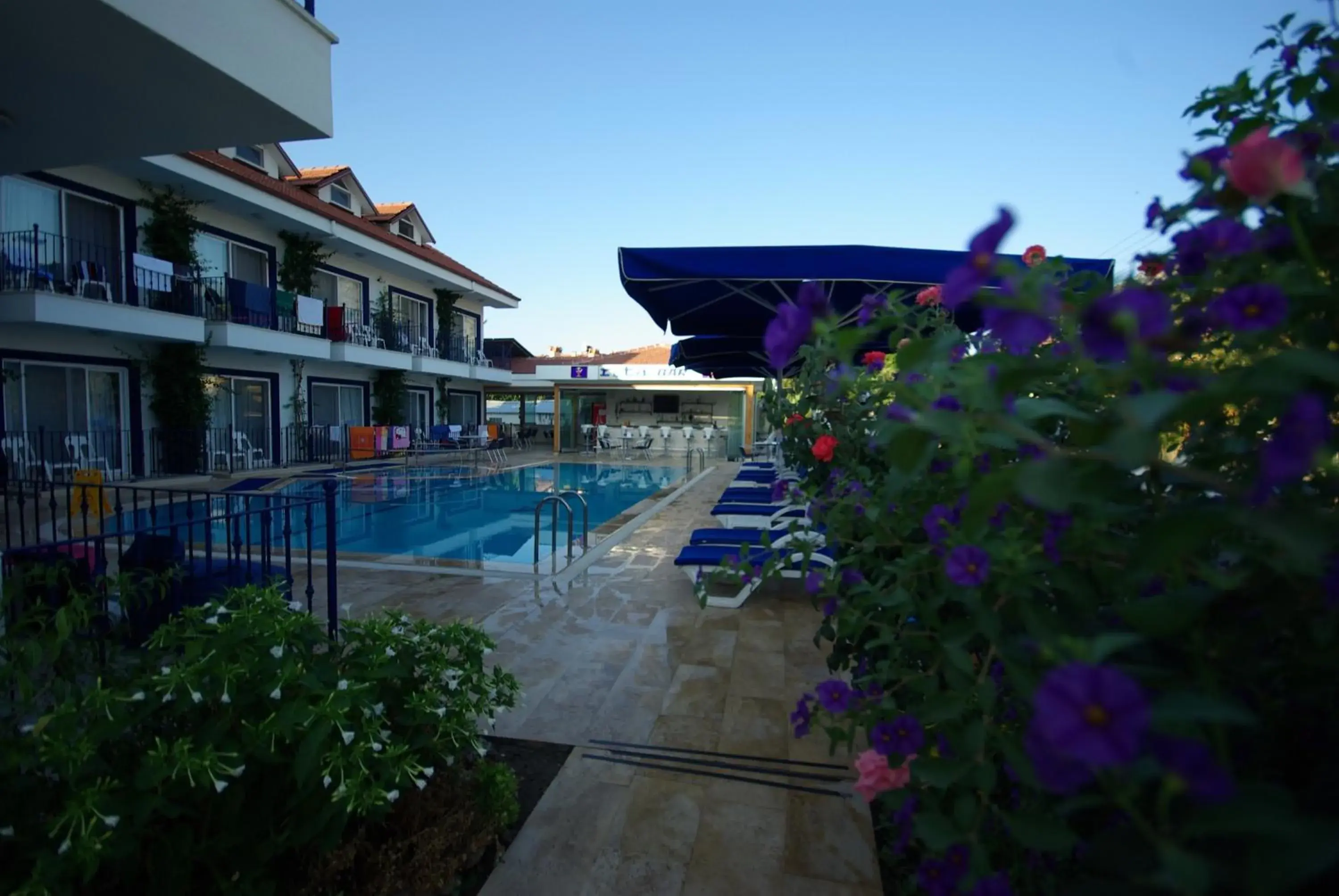 Garden, Swimming Pool in Rota Hotel