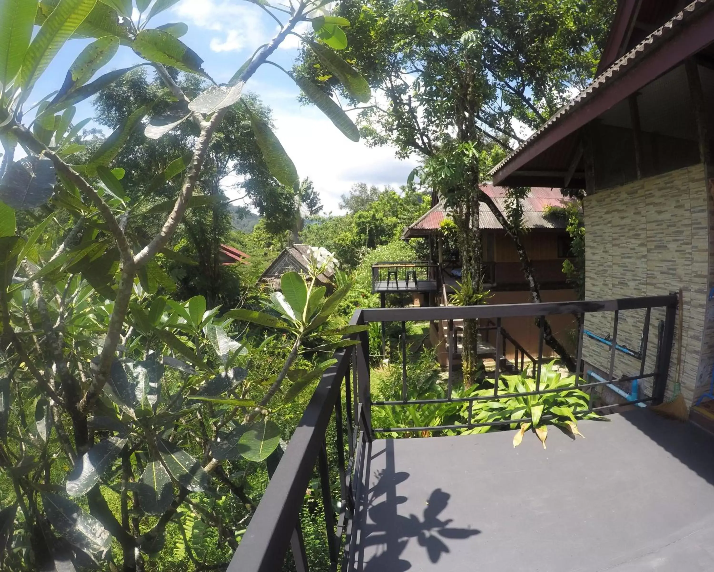 Balcony/Terrace in Khao Sok Morning Mist Resort