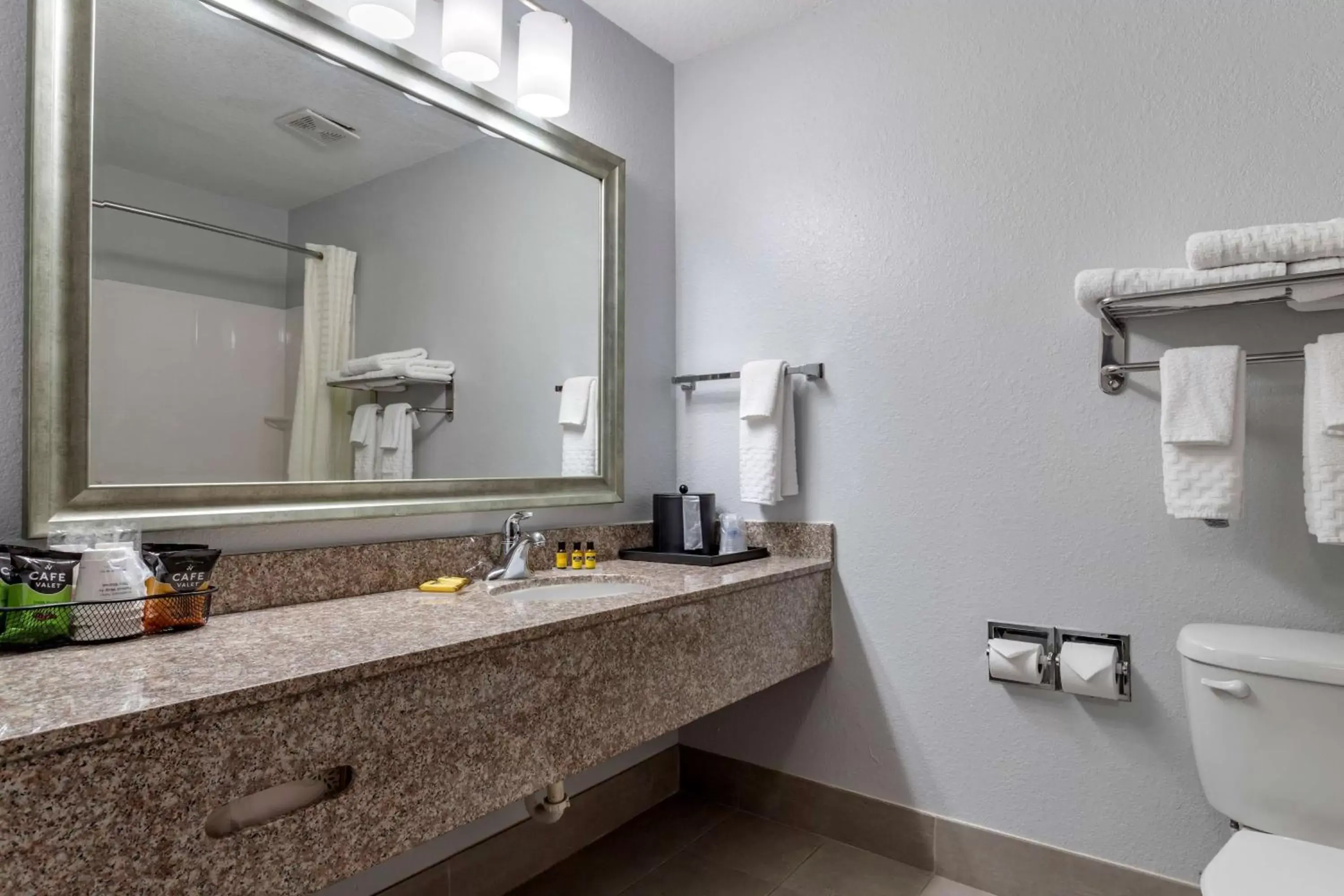 Bathroom in Best Western Plus Orange County