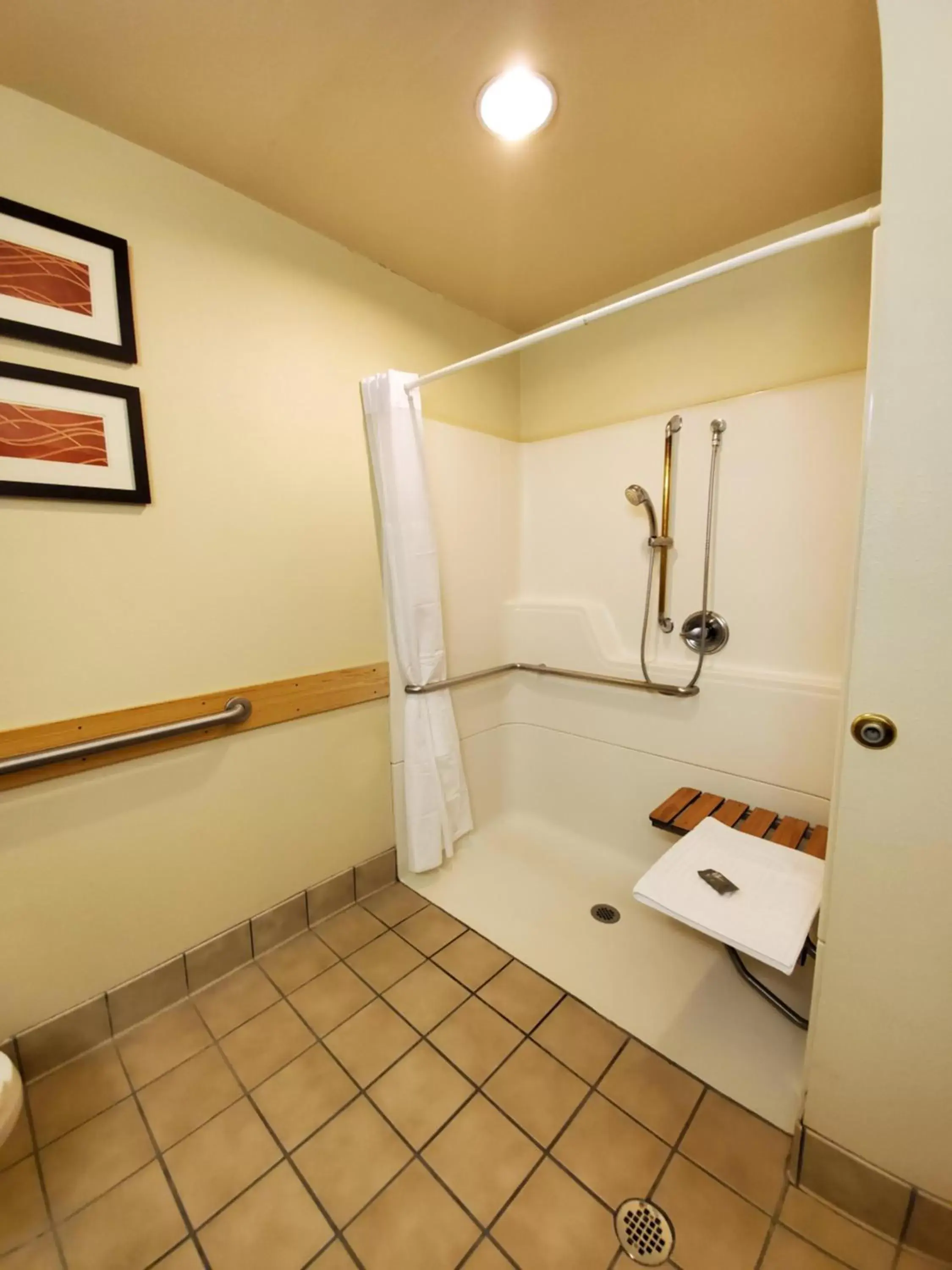 Shower, Bathroom in Country Inn & Suites by Radisson, Bend, OR