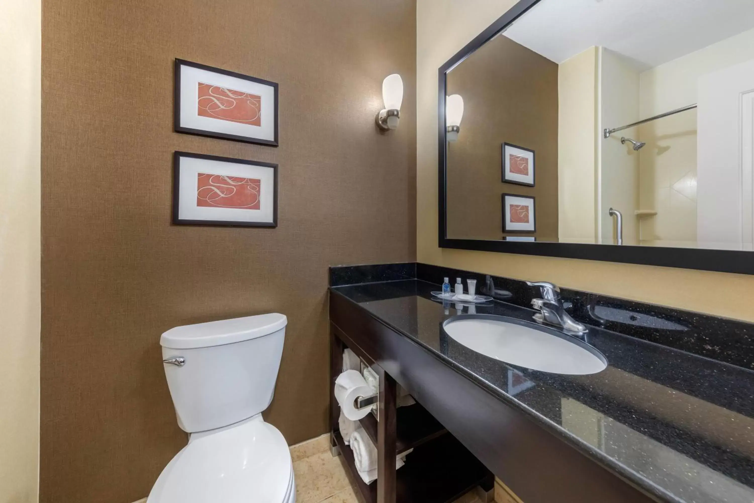Bathroom in Comfort Suites Near City of Industry - Los Angeles
