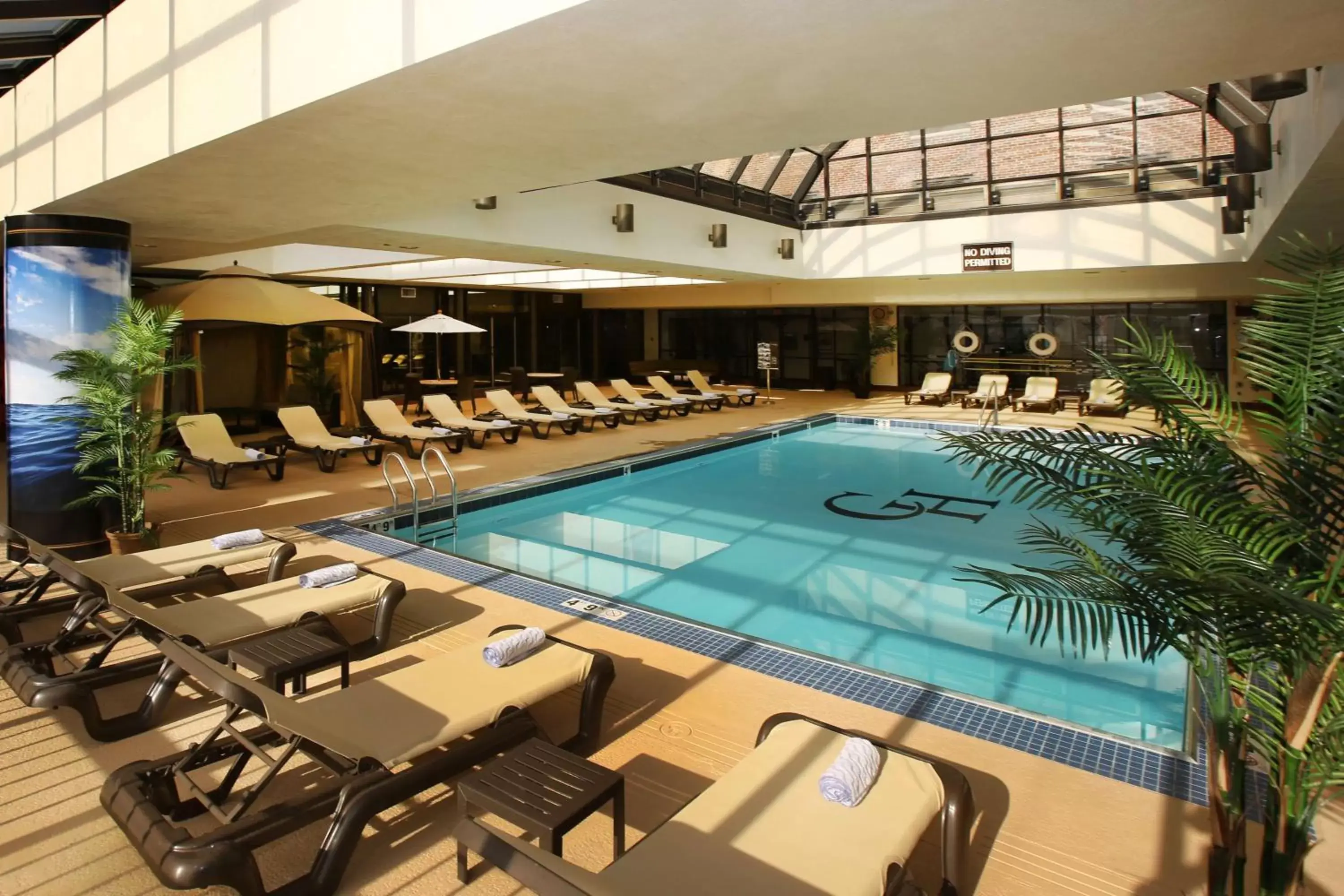Activities, Swimming Pool in The Claridge Hotel