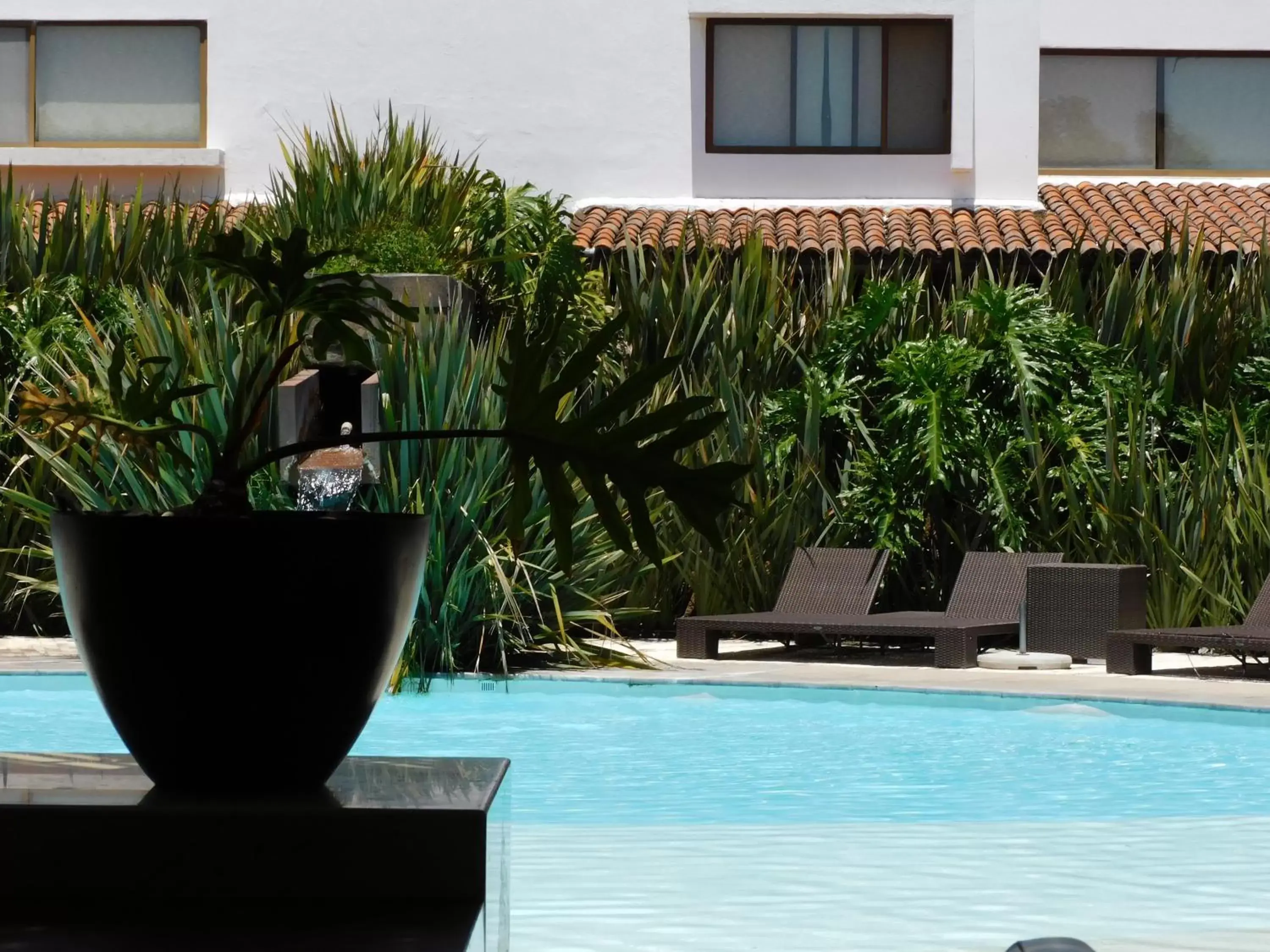 Swimming Pool in Hotel & Spa Luna Canela Boutique