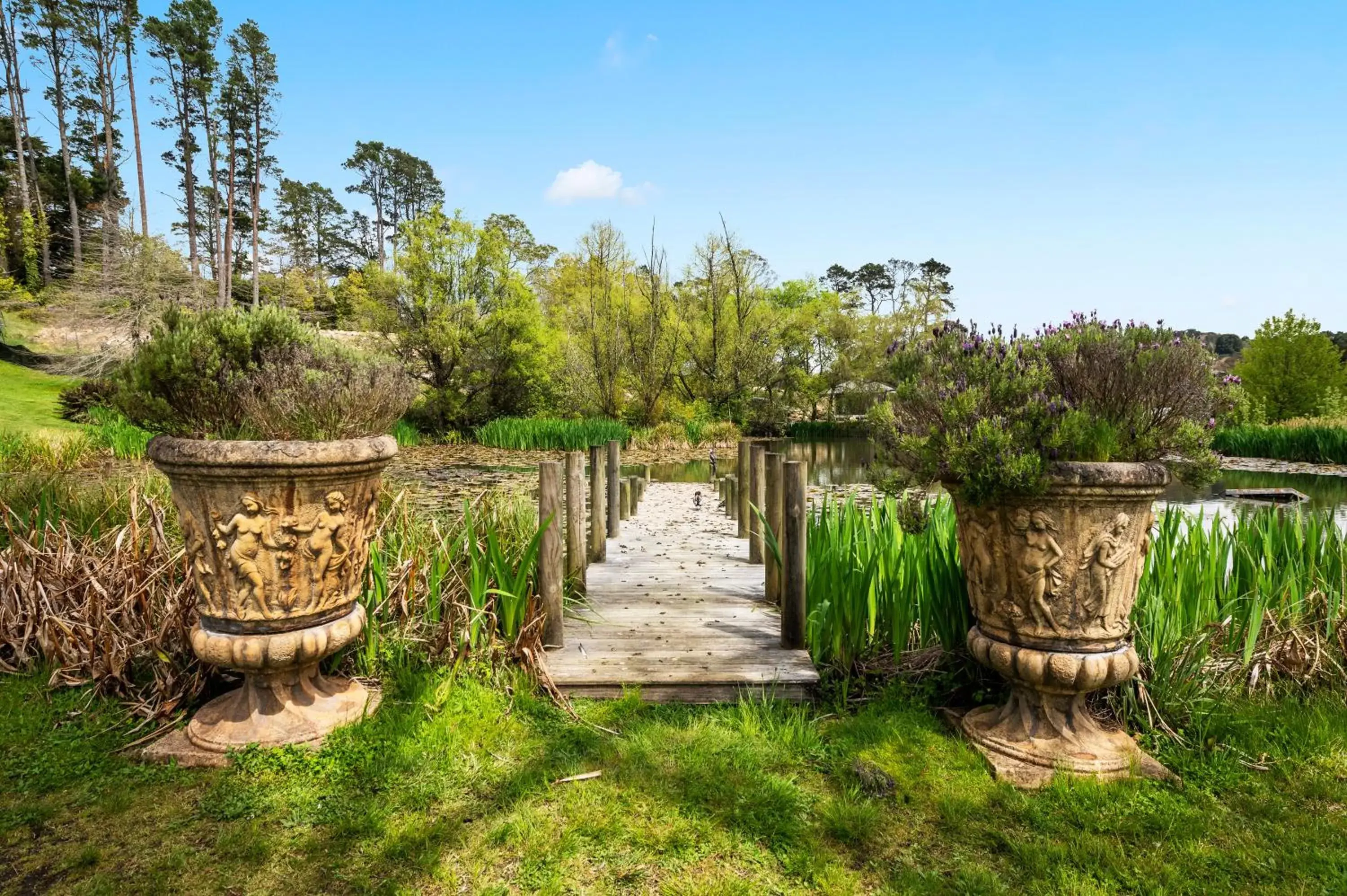 Natural landscape in Parklands Country Gardens & Lodges Blue Mountains