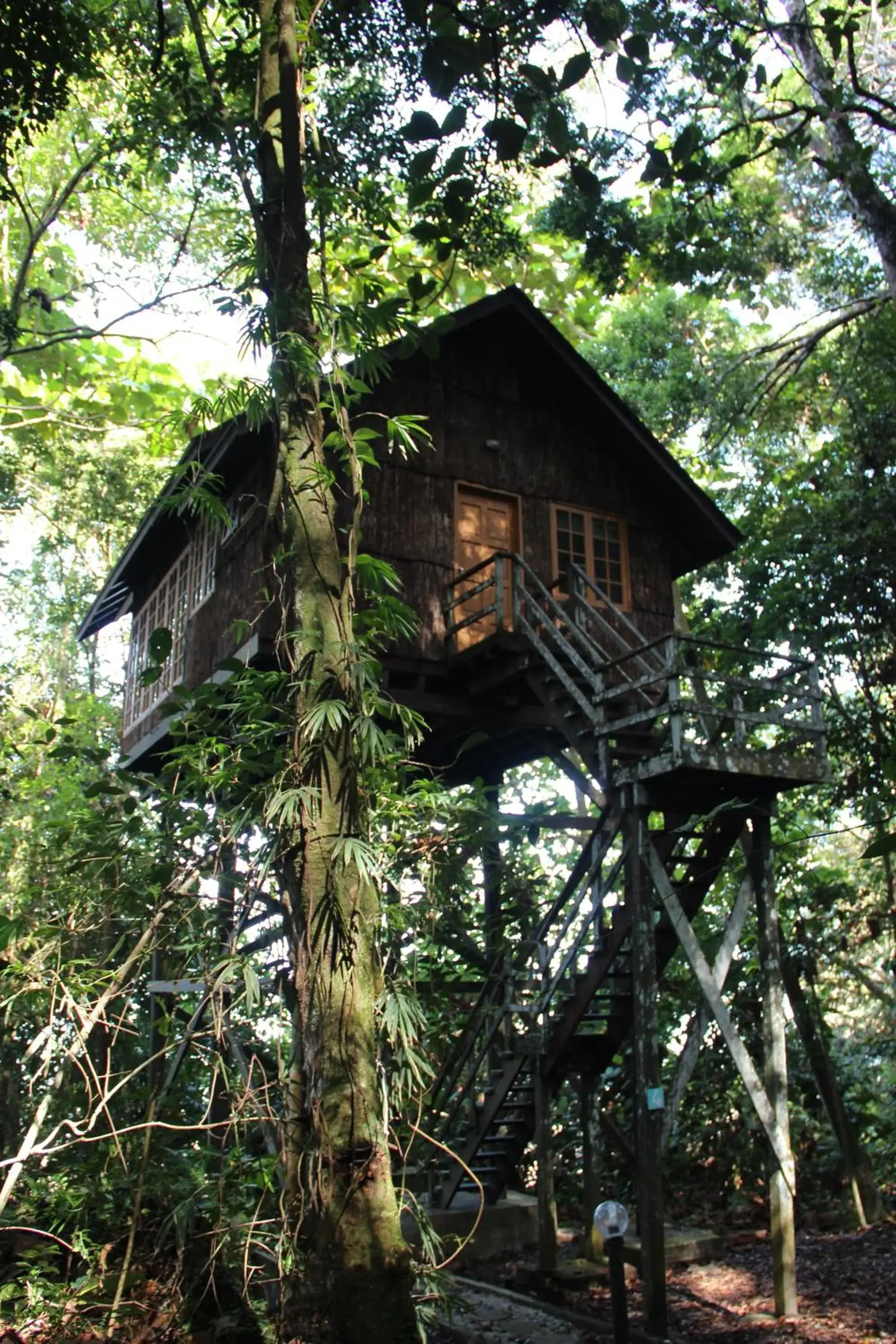 Other, Property Building in Permai Rainforest Resort