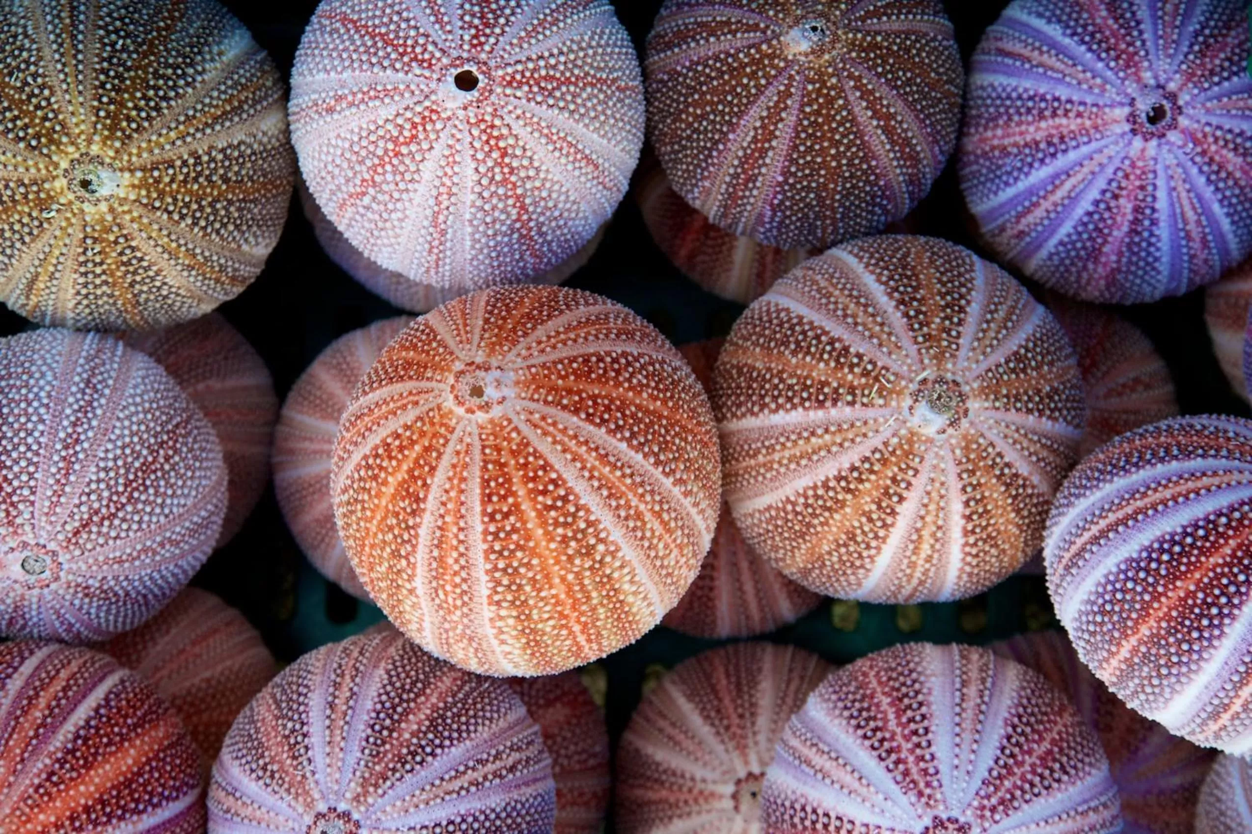 Other in Lugger Hotel ‘A Bespoke Hotel’