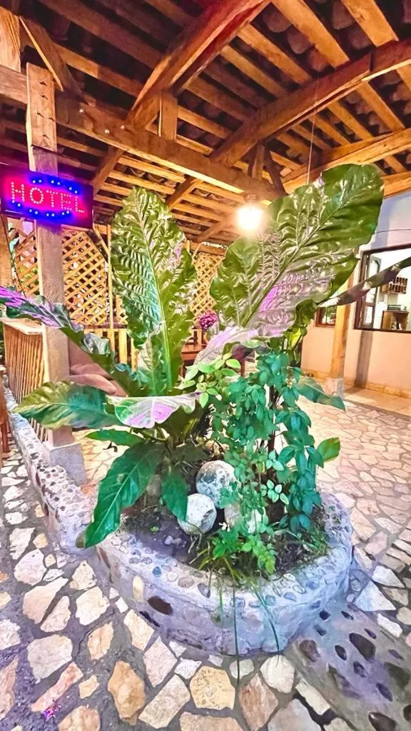 Property building in Hotel Rosalila