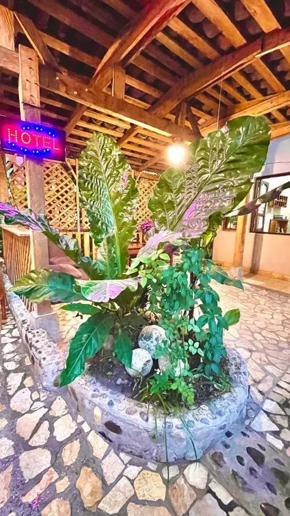 Budget Single Room - single occupancy in Hotel Rosalila Budget Single Room - single occupancy in Hotel Rosalila