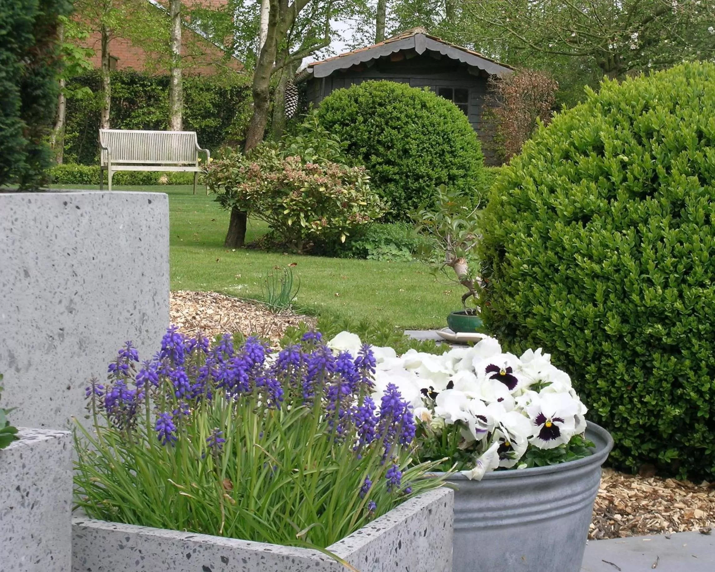 Garden in B&B De Passant
