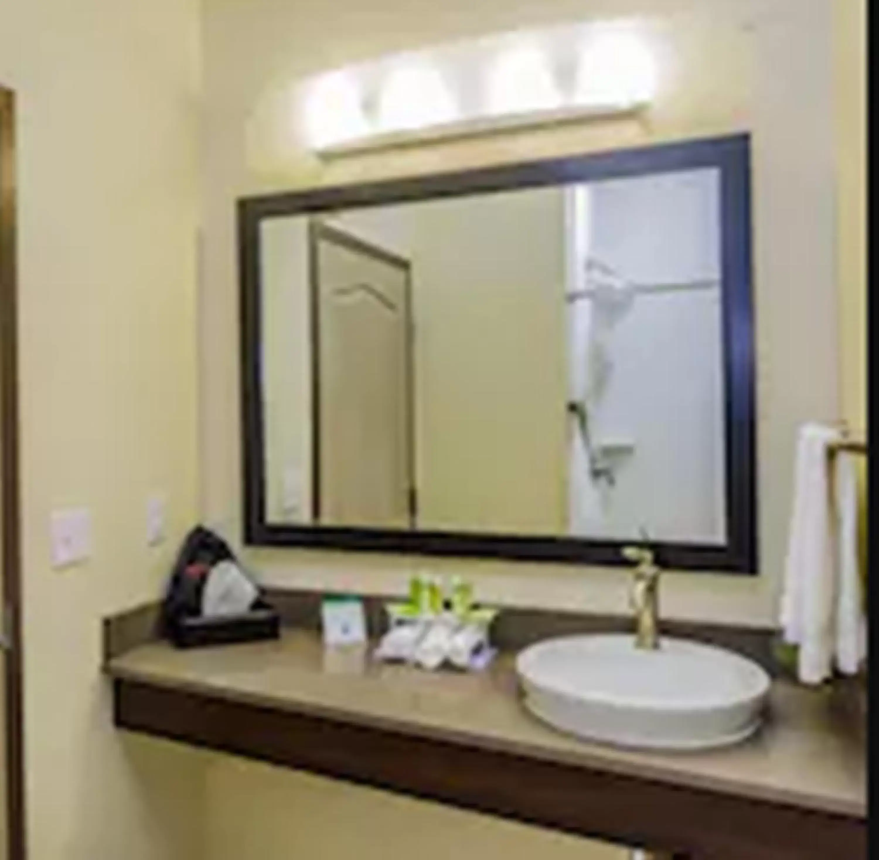 Bathroom in Holiday Inn Express & Suites Cheektowaga North East, an IHG Hotel