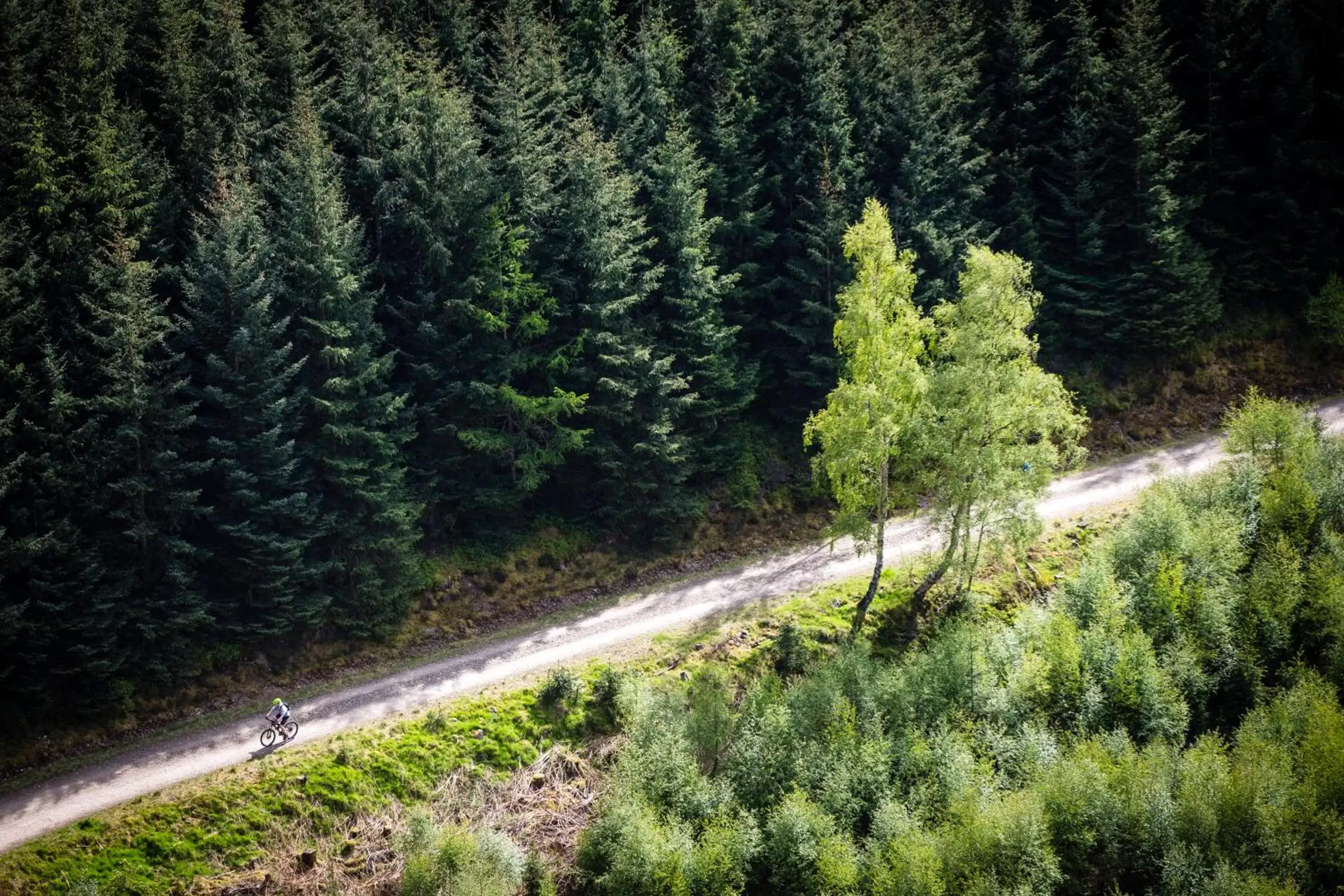 Natural landscape, Bird's-eye View in The Tontine Hotel