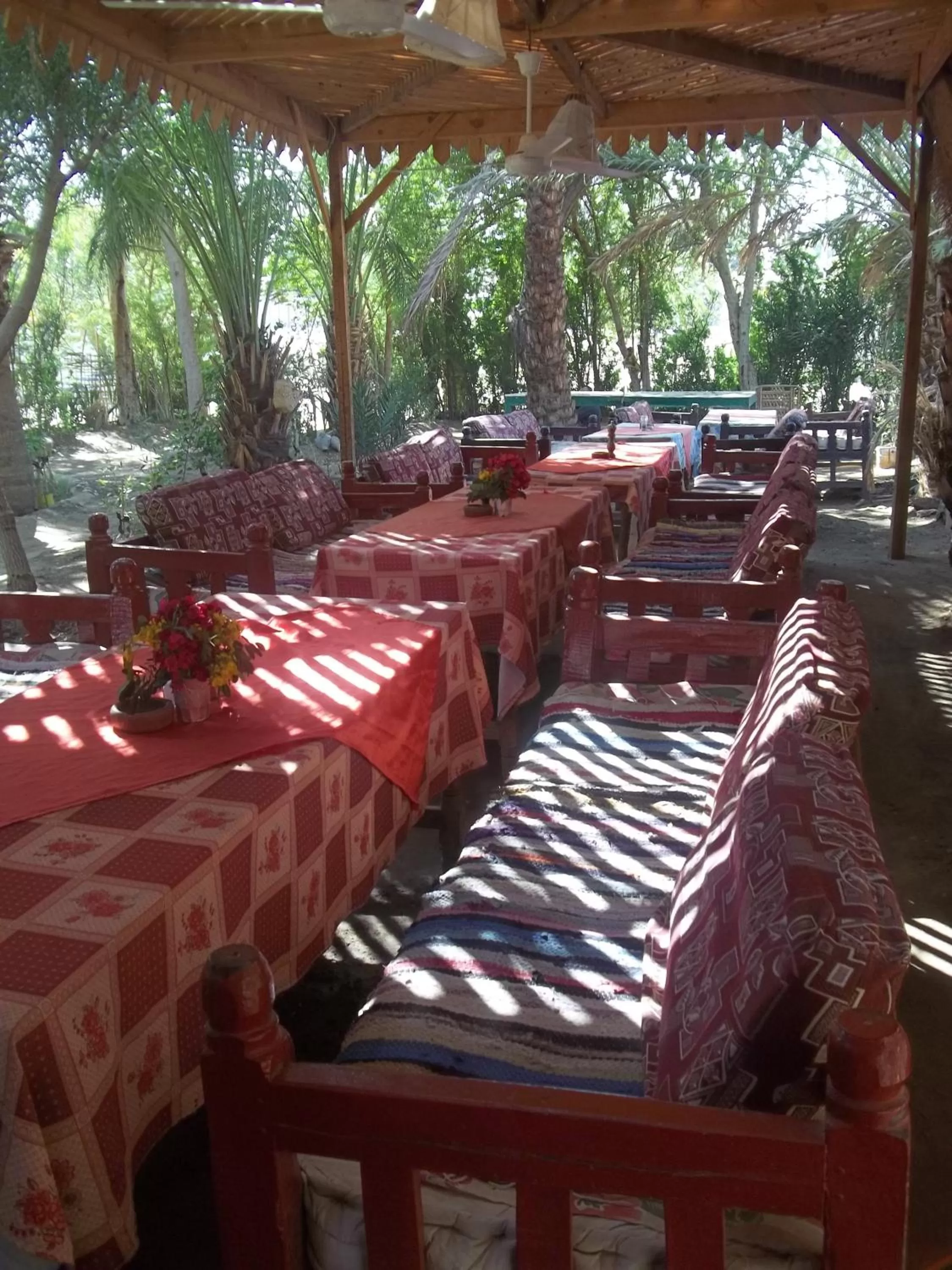 Restaurant/places to eat in Nour El Gourna