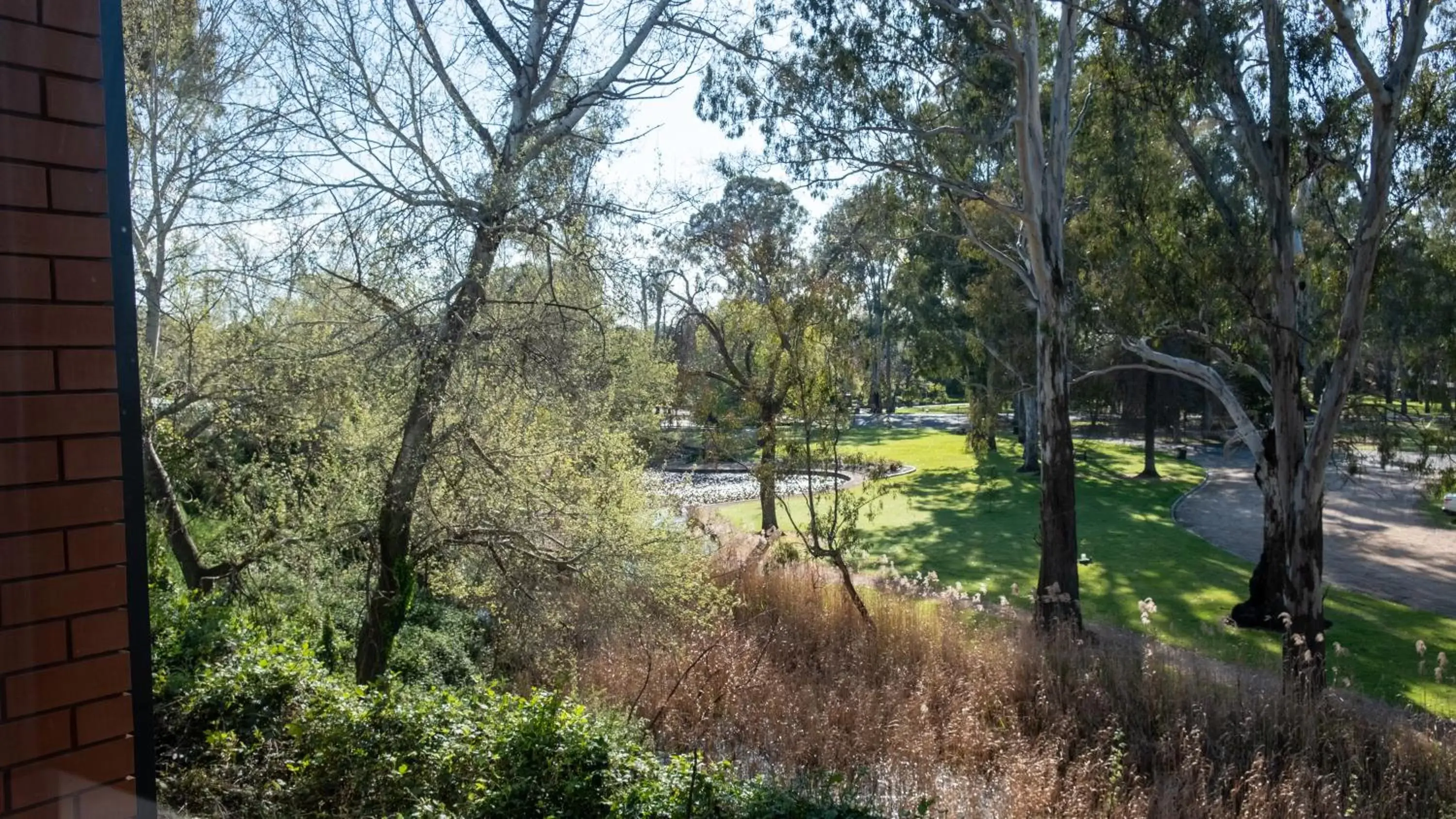 Garden view in Parkview Motor Inn and Apartments