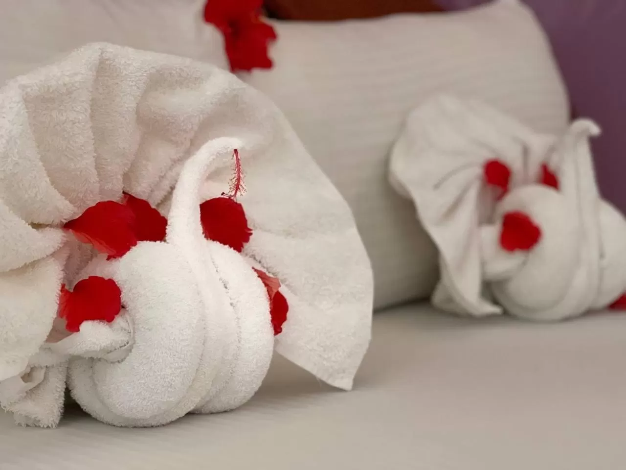 Bed in Babalao Bungalows