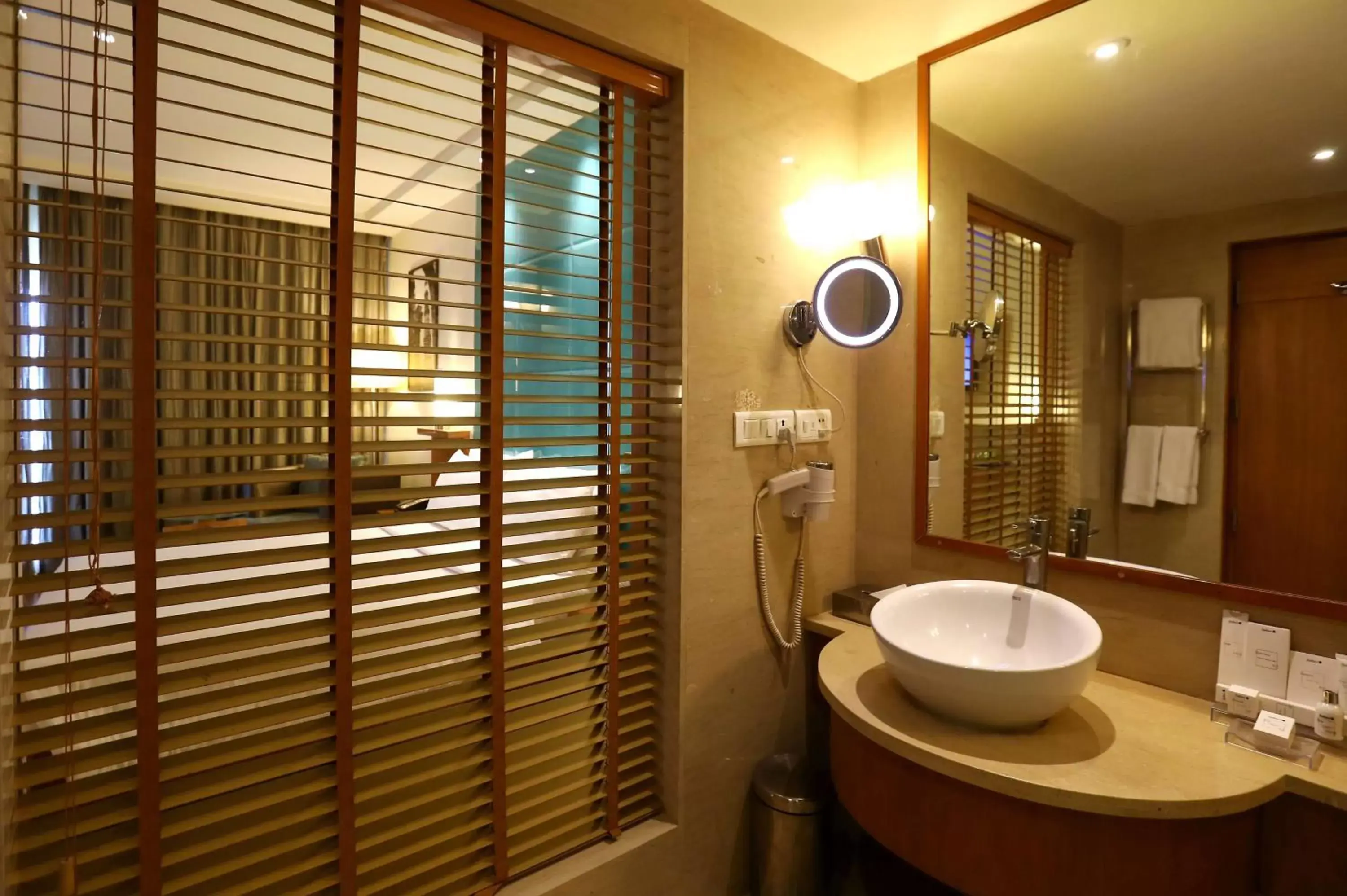 Bathroom in Radisson Blu Hotel Chennai City Centre