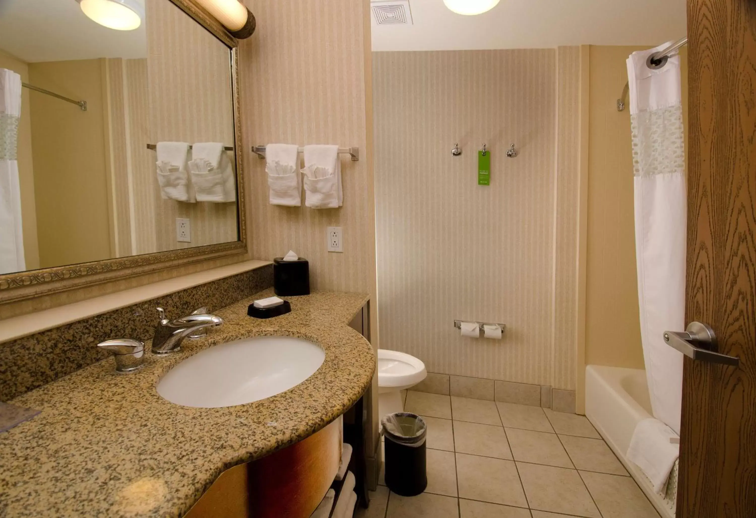 Bathroom in Hampton Inn & Suites Gallup