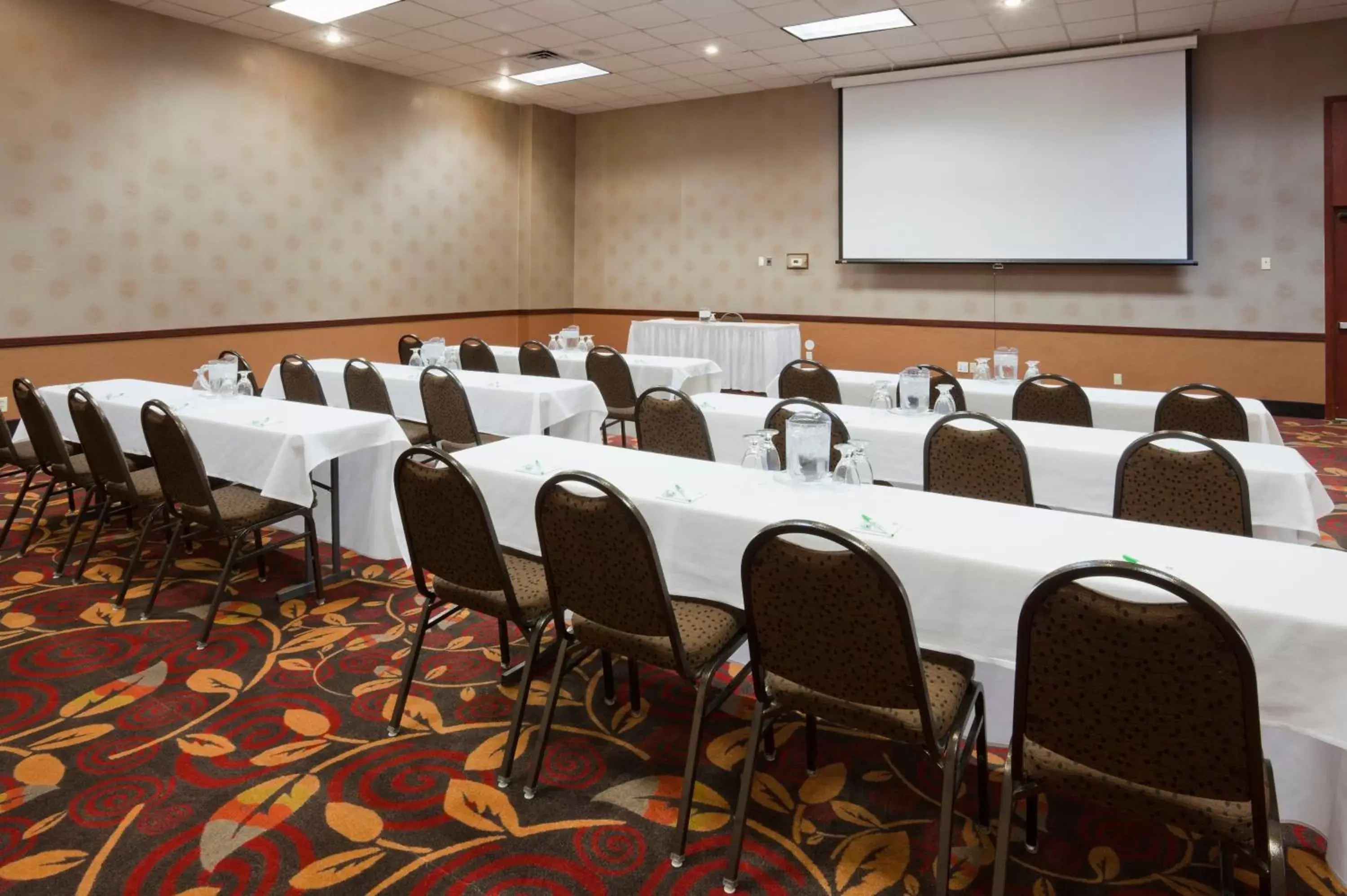 Meeting/conference room in Holiday Inn Alexandria, an IHG Hotel