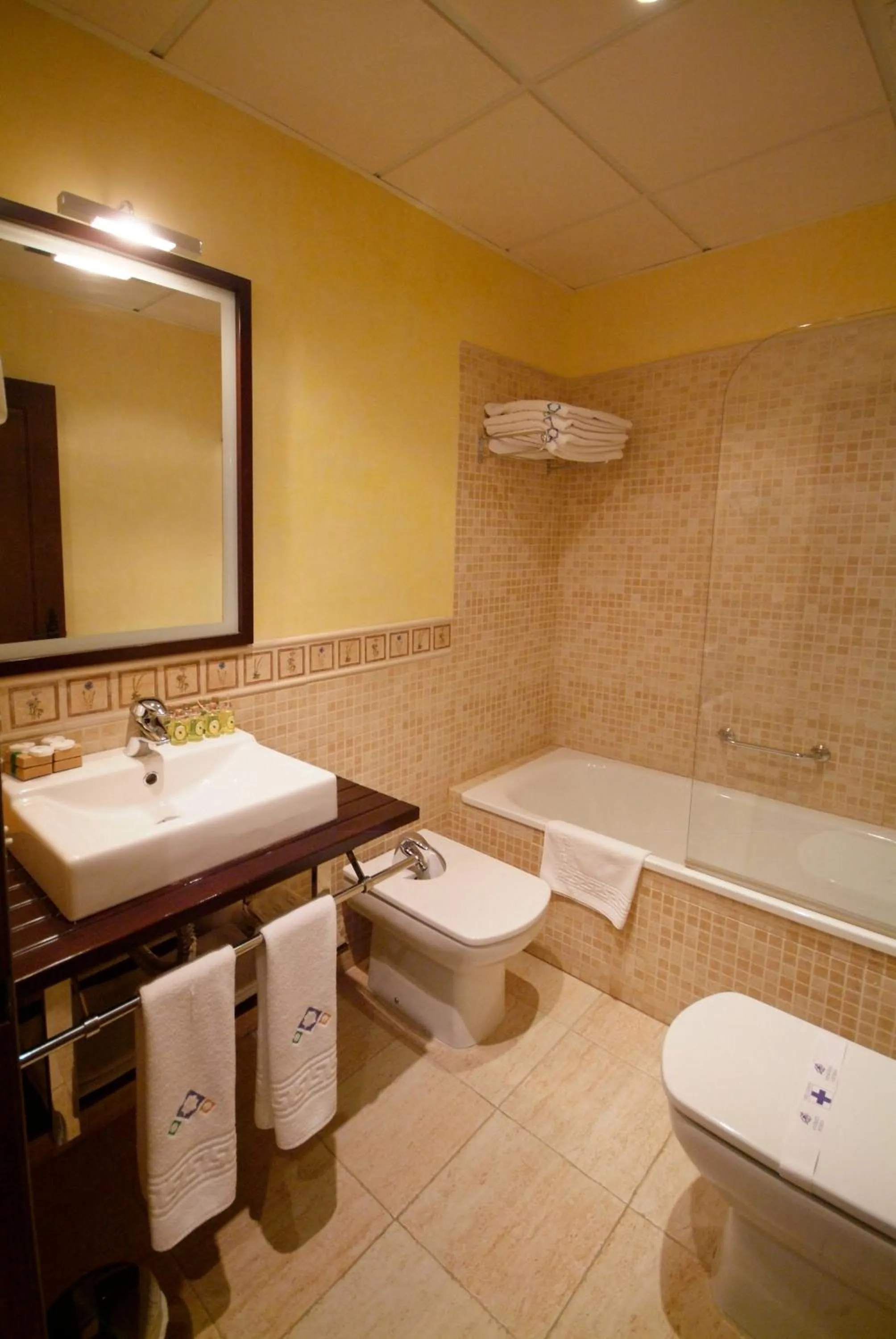 Toilet in Apartamentos Ardales