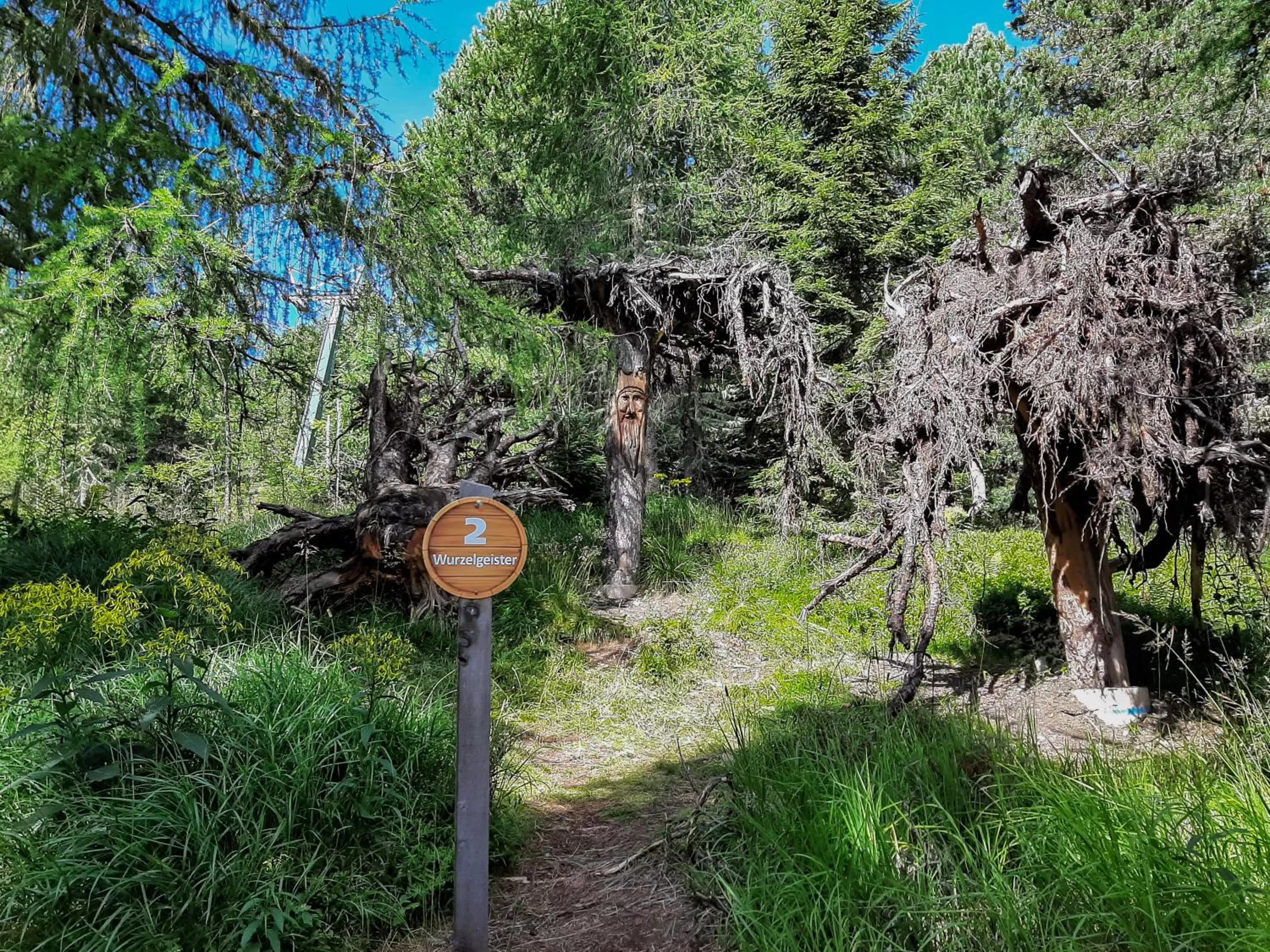 Hiking in JUFA Hotel Nockberge