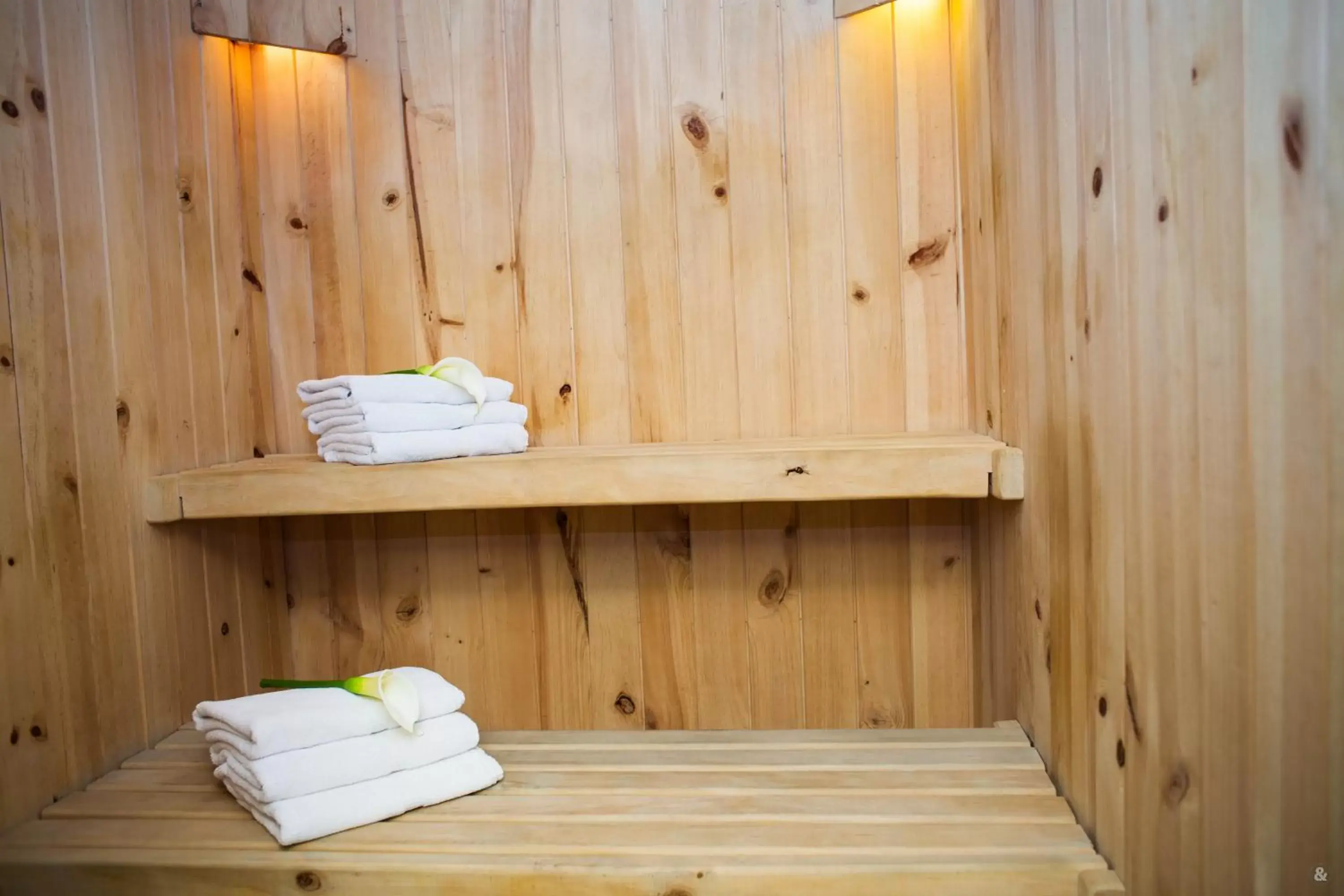 Sauna in Le Parc Hotel, Beyond Stars