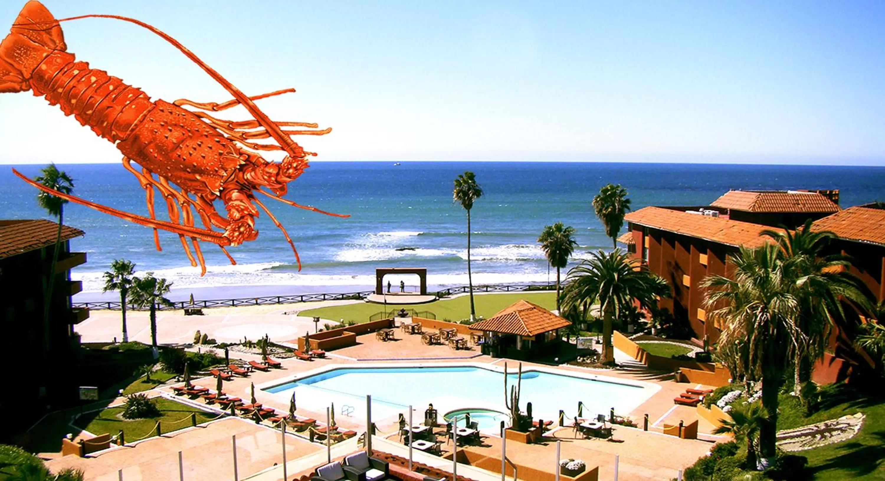 Garden in Puerto Nuevo Baja Hotel & Villas