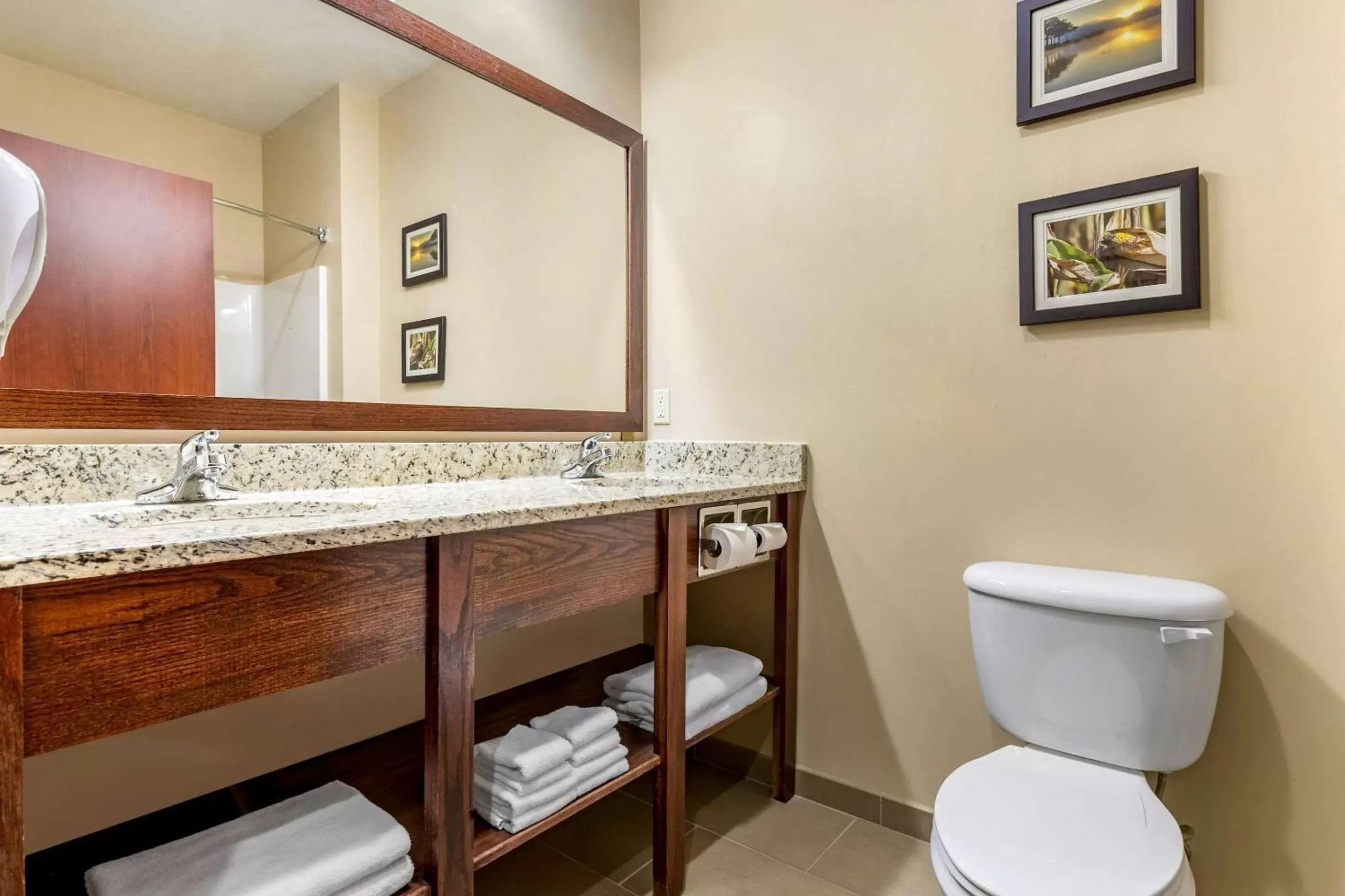 Bathroom in Comfort Inn & Suites Davenport - Quad Cities