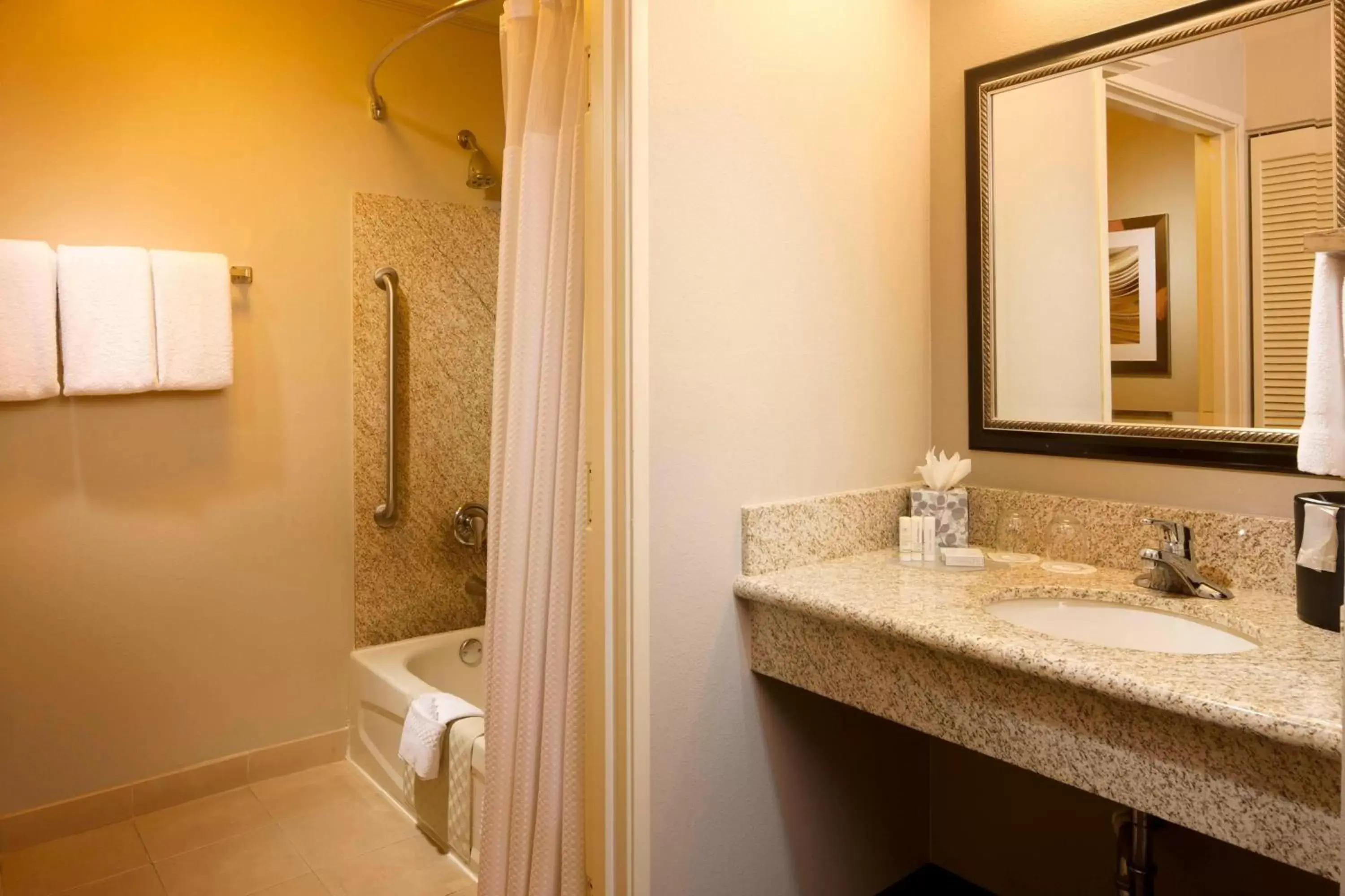 Bathroom in Courtyard by Marriott Brownsville