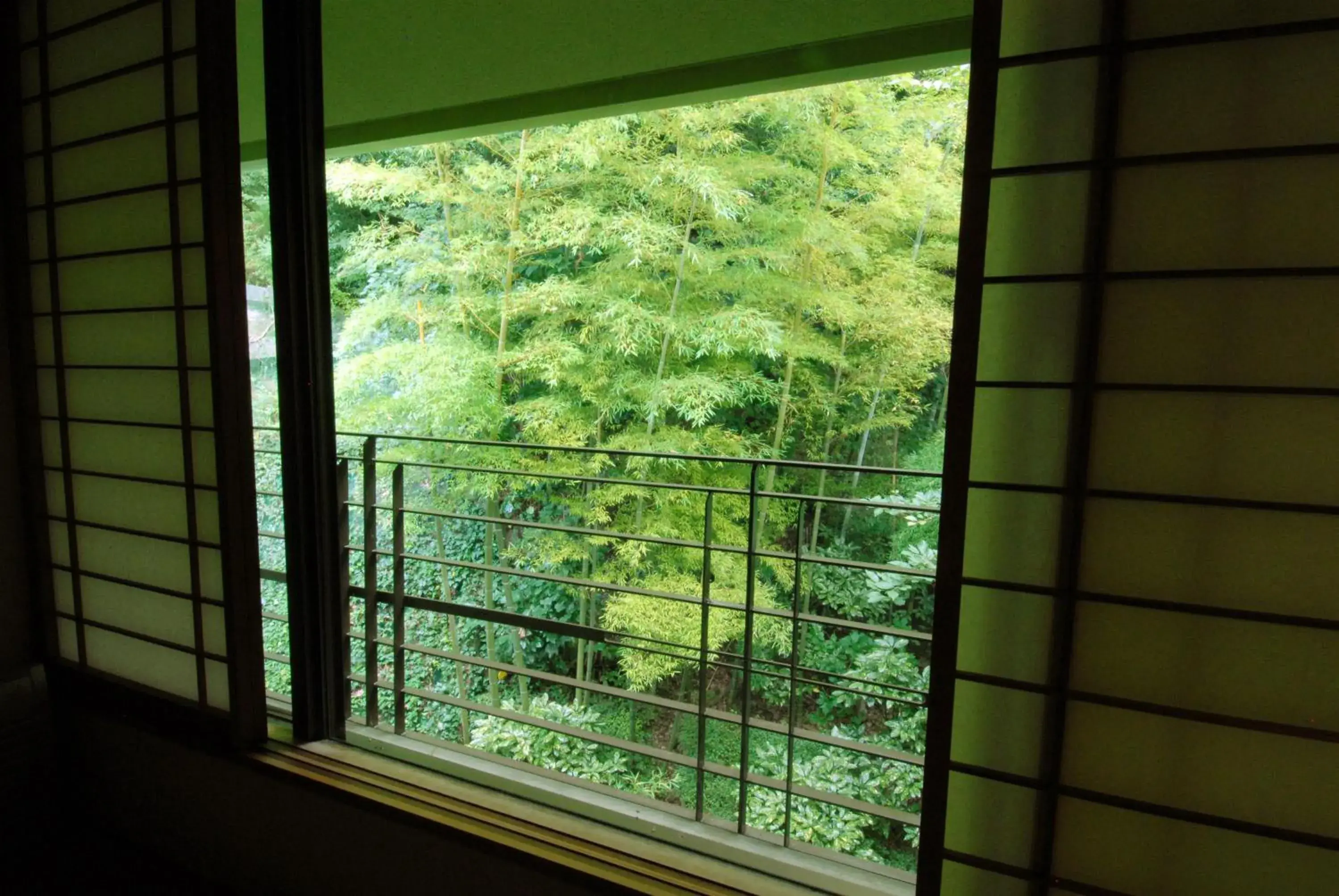 View (from property/room) in Arima Onsen Taketoritei Maruyama Ryokan