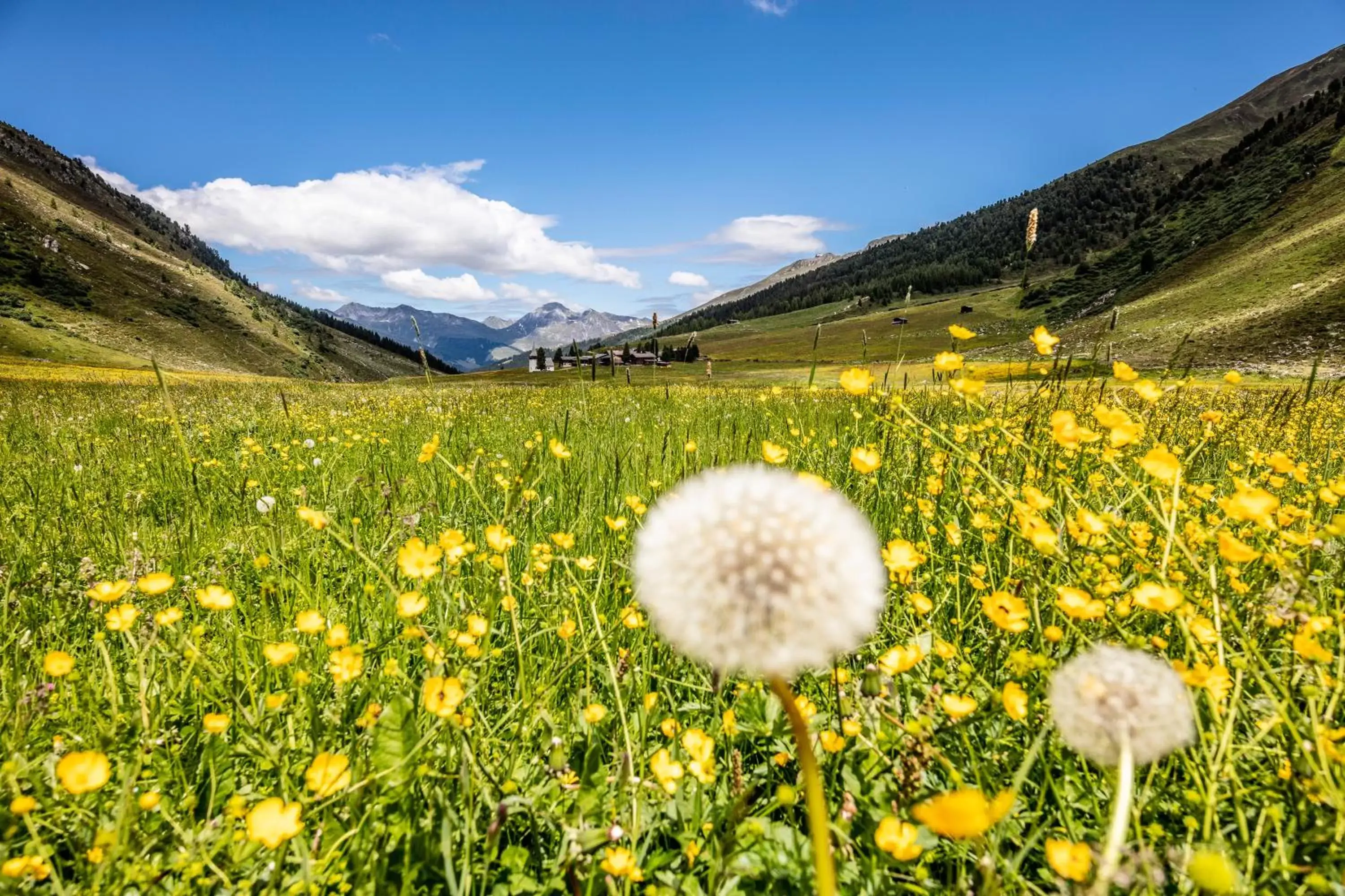 Natural landscape in Hotel Piz Buin Klosters